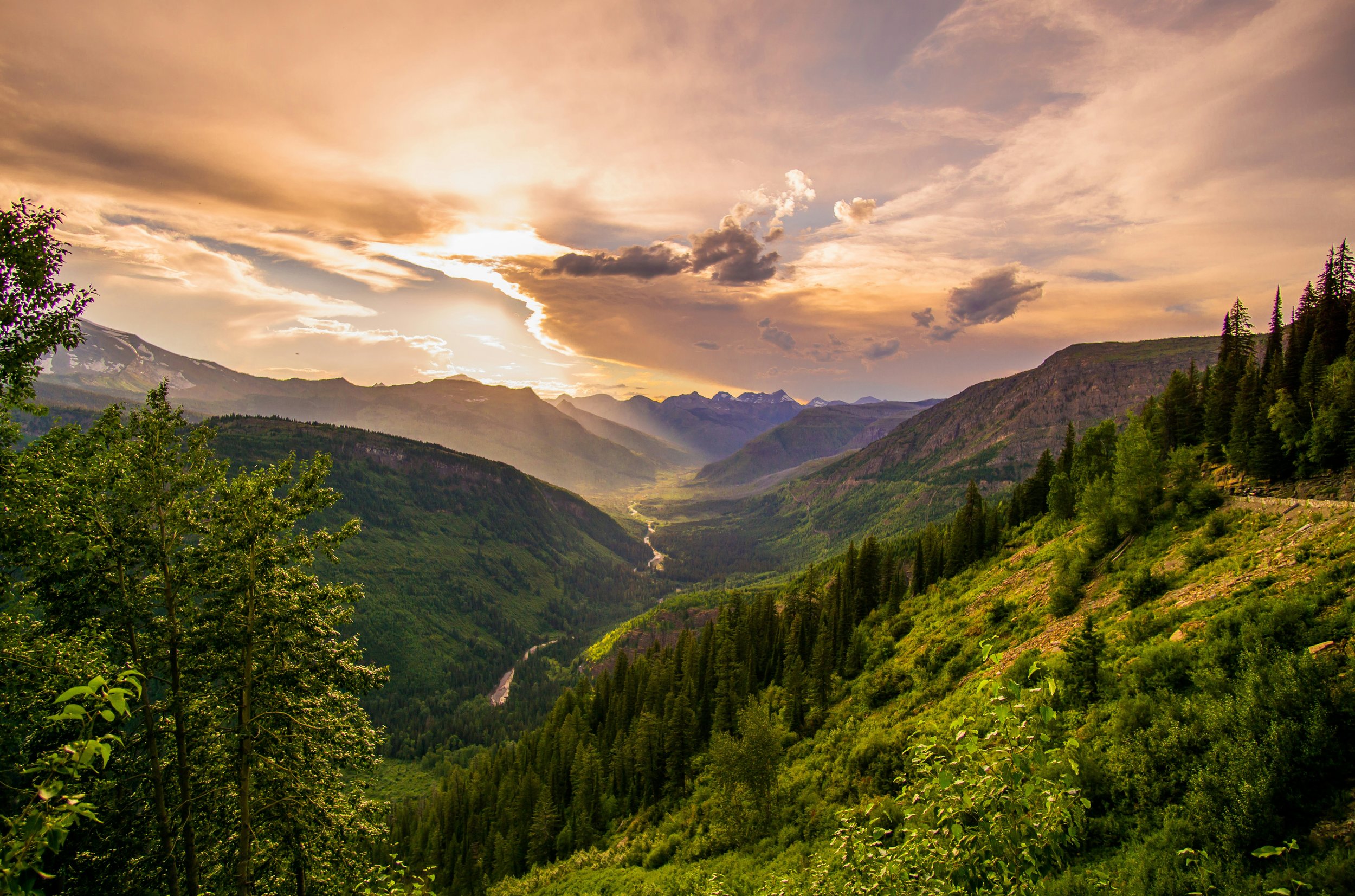 tony-reid-UMJUr3st0AE-unsplash (1).jpg