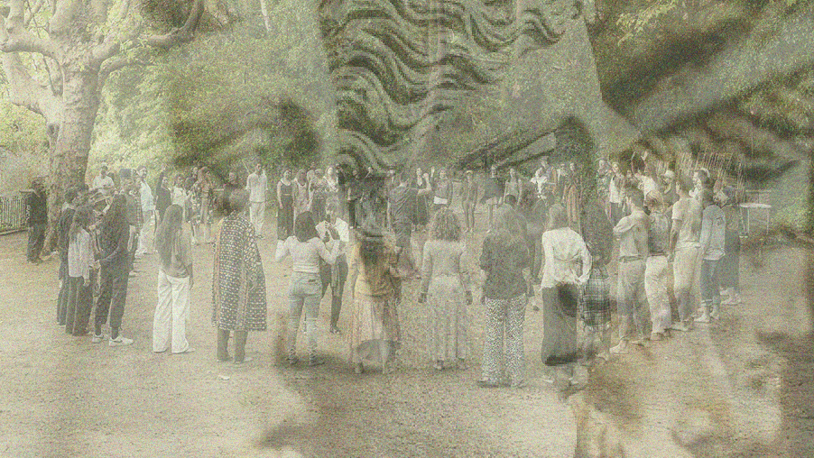 3-Day Experience Early Sage