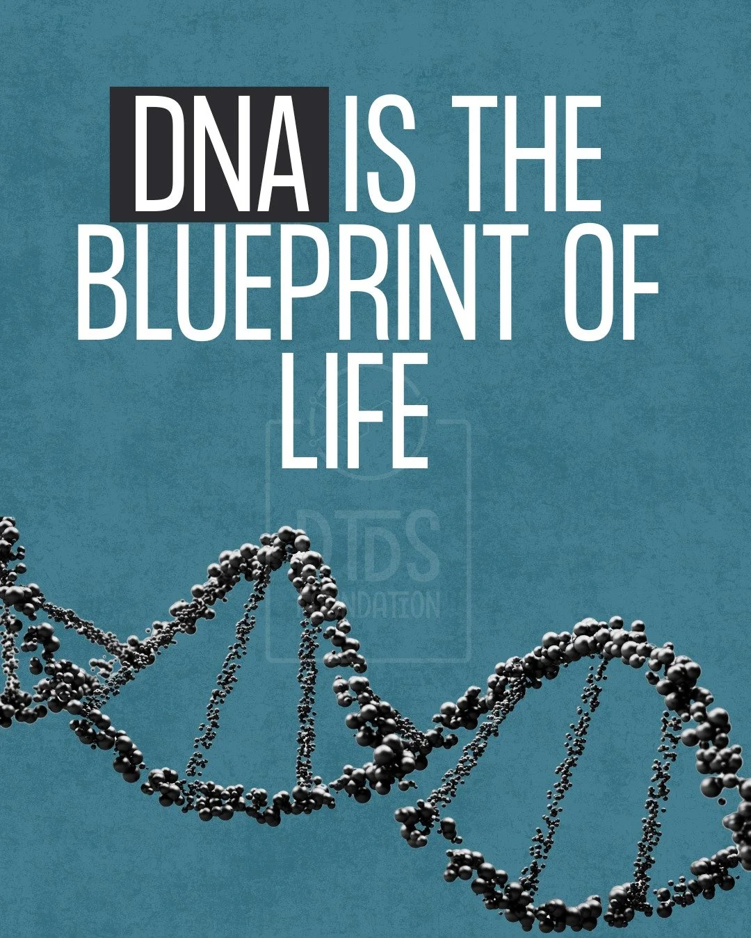 Every cell in our body has about 6 feet of DNA packed inside the nucleus!
In DTDS, a tiny change in just one gene can have a huge impact on brain function.

Amazing, tiny, and powerful&mdash;just like the work we&rsquo;re doing to support families an