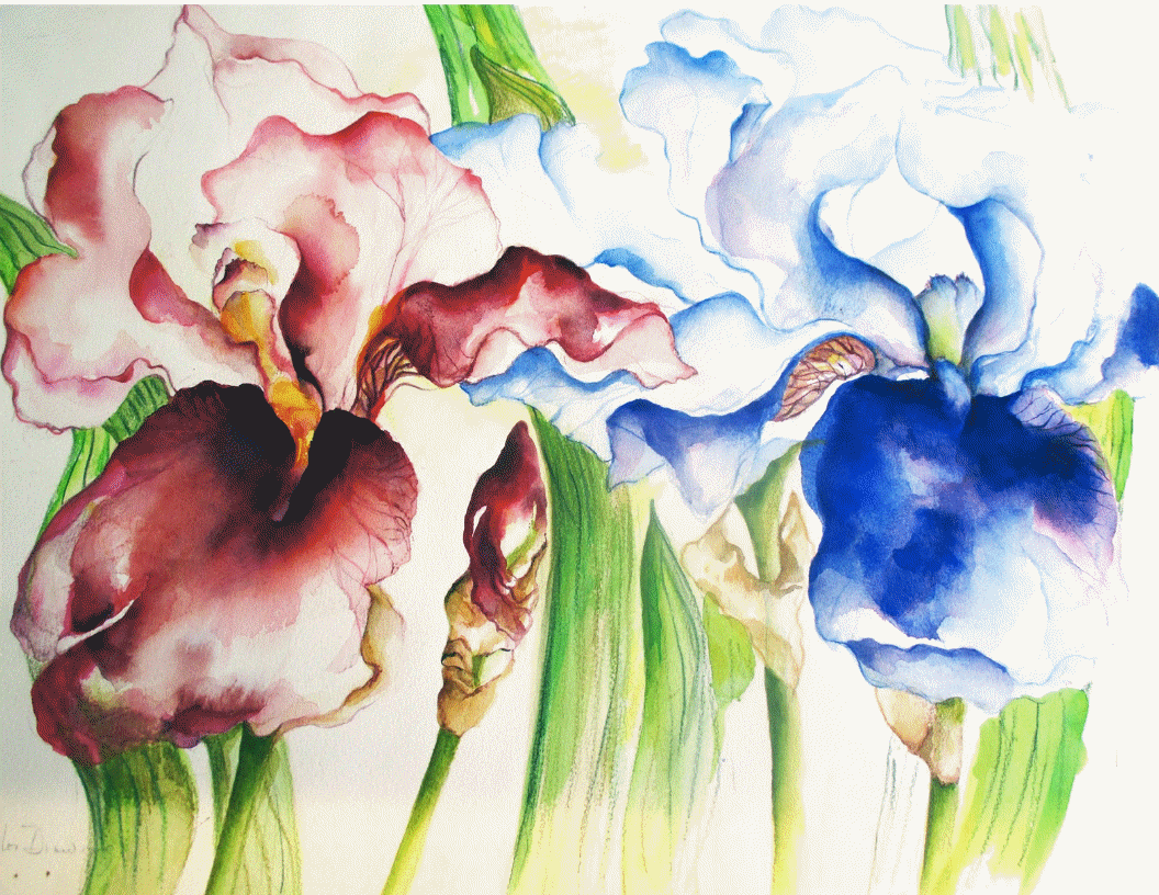 Three Irises watercolor painting of  iris flowers with rich pinks, orange reds, blues,  and green leaves.