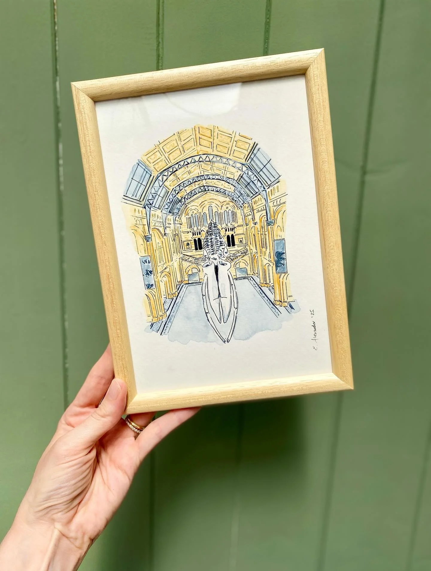 A selection of my A5 watercolour &amp; ink building illustrations, currently on display at @coffeecircusn8 ✨

1. Natural History Museum 
2. The Maynard Arms, Crouch End
3. Crouch End Clock Tower
4. The Good Reader, Crouch End 
5. Coffee Circus, Crouc