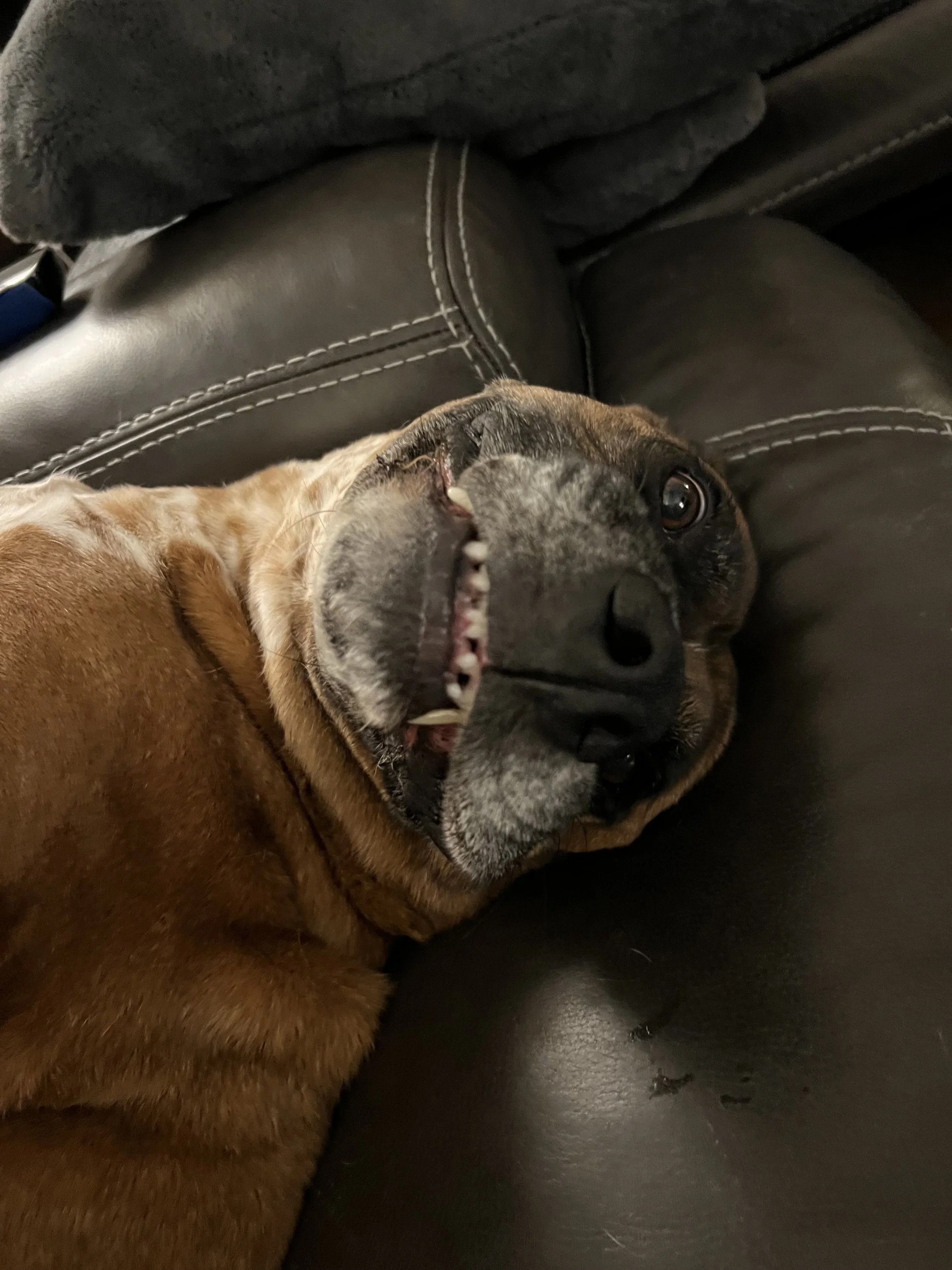 Oranssi project manager Jaya Dixon