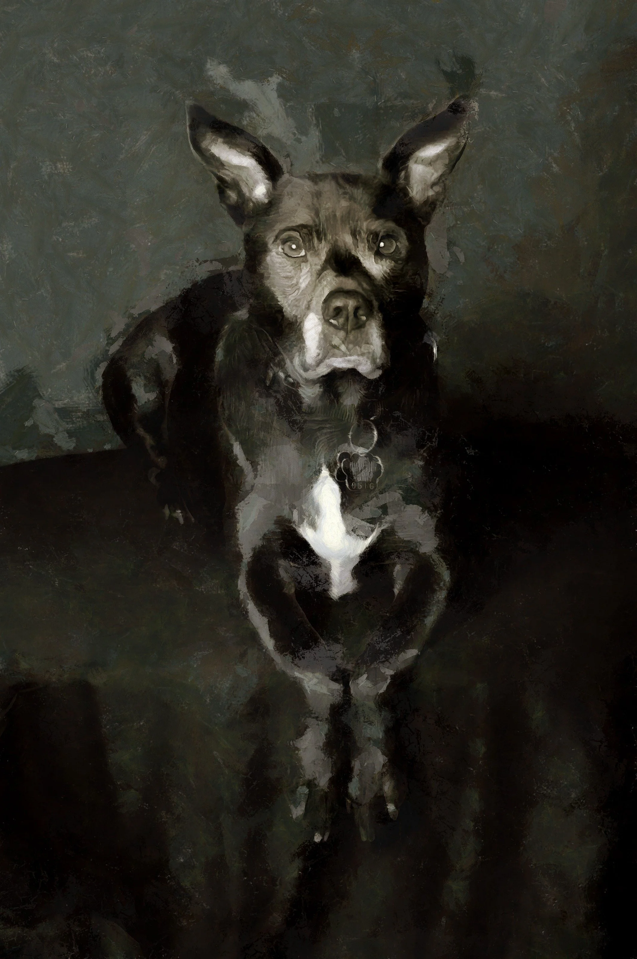 Painting of a black and white dog with large ears, sitting on a dark surface with a dark background.