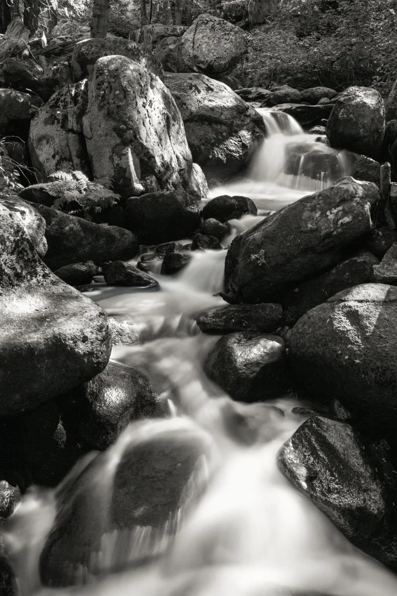 Alder Creek – Black & White