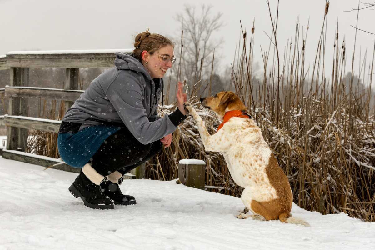 A woman crouching in the snow, smiling and giving a high five to a dog that is sitting and reaching out with its paw.