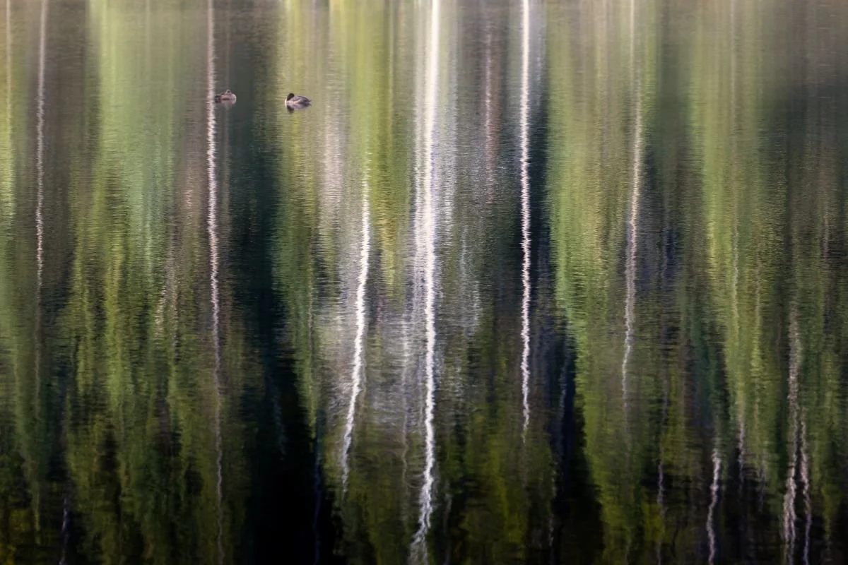 Stillwater Reflections