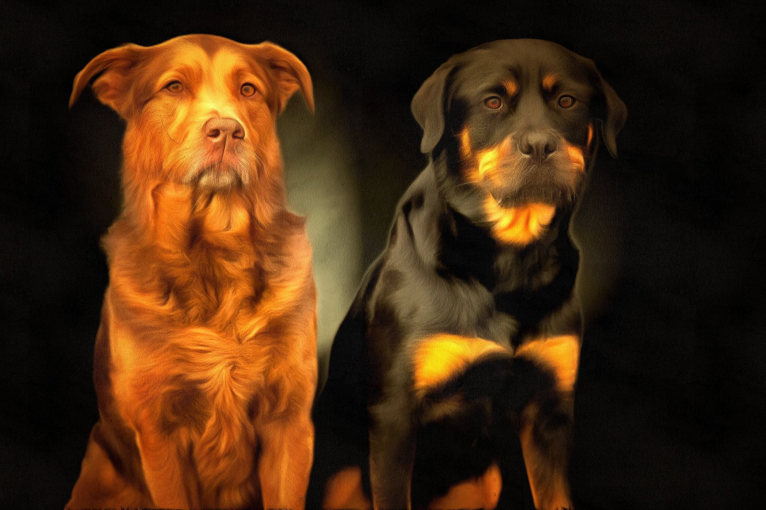 Legacy Portrait - Digital file