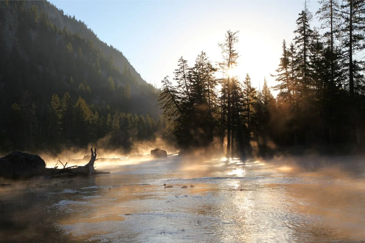 Golden Mist River Sunrise
