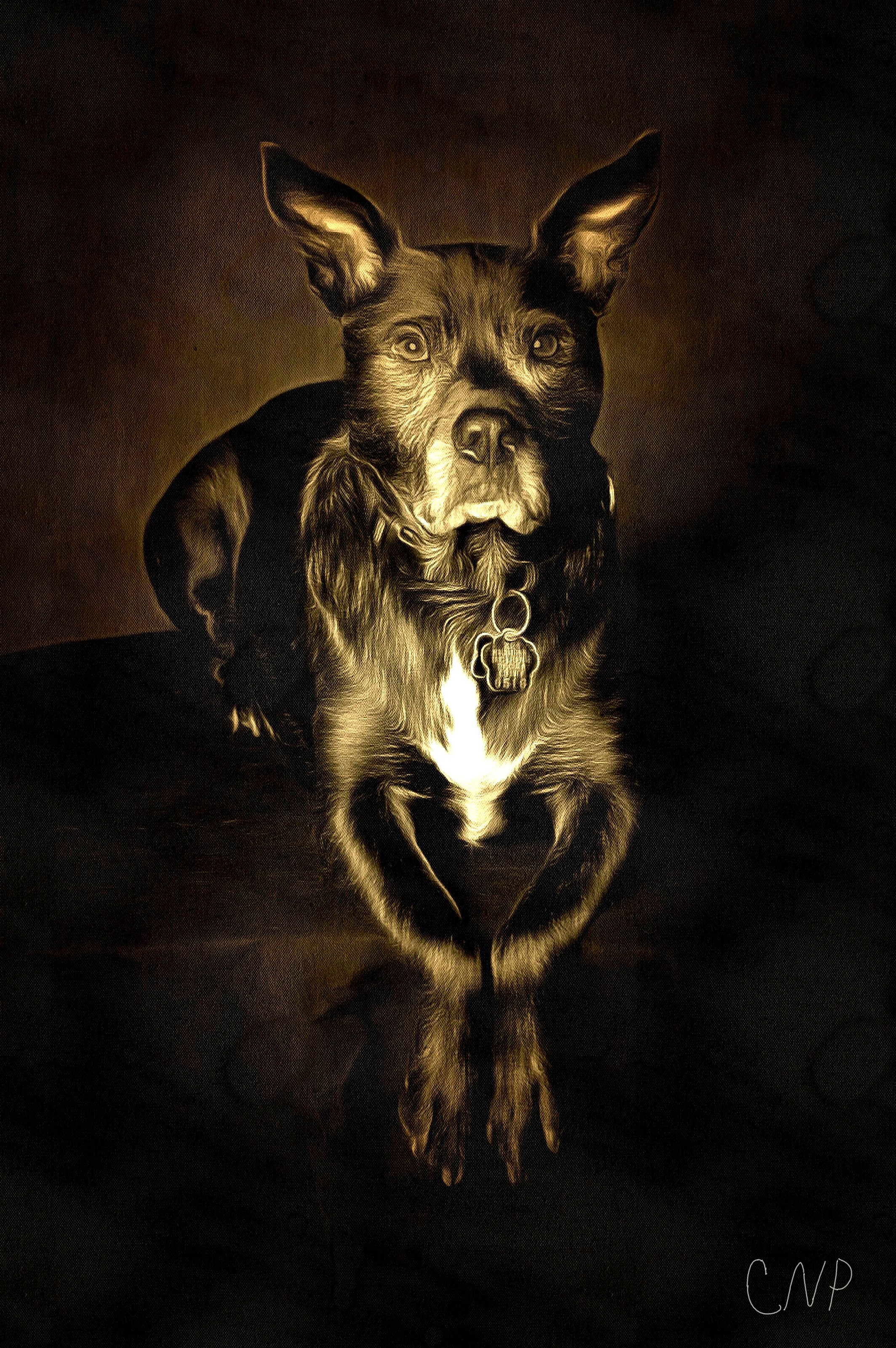 Legacy Portrait - 16x20 Fine Art Paper Prints