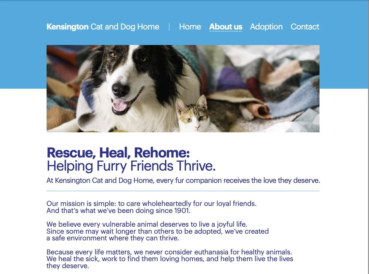 Preview of the 'About Us' page mockup for Kesington Cat and Dog Home, designed to attract Spanish-speaking donors to this nonprofit organization dedicated to animal rescue.