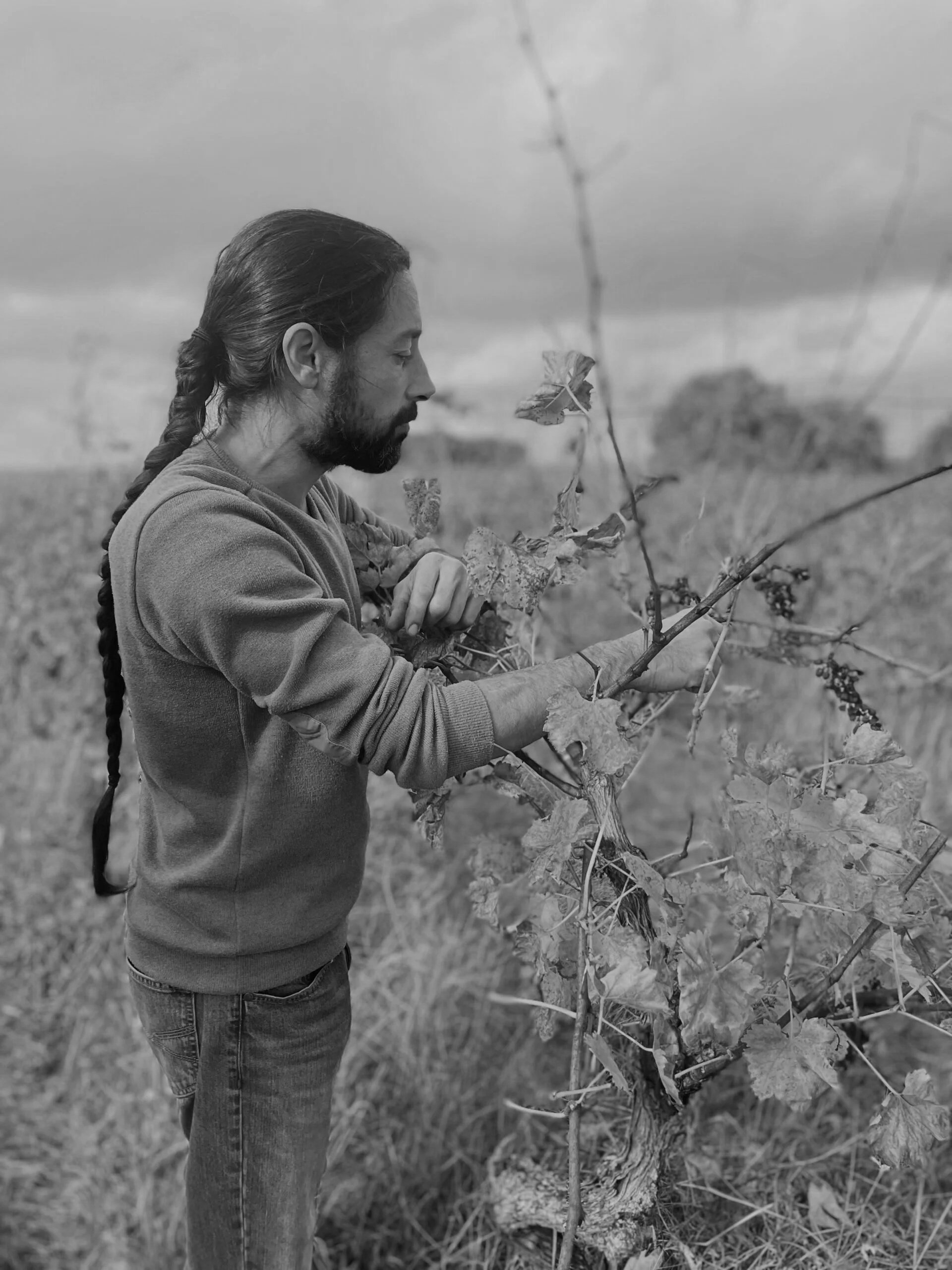 François Blanchard, winemaker