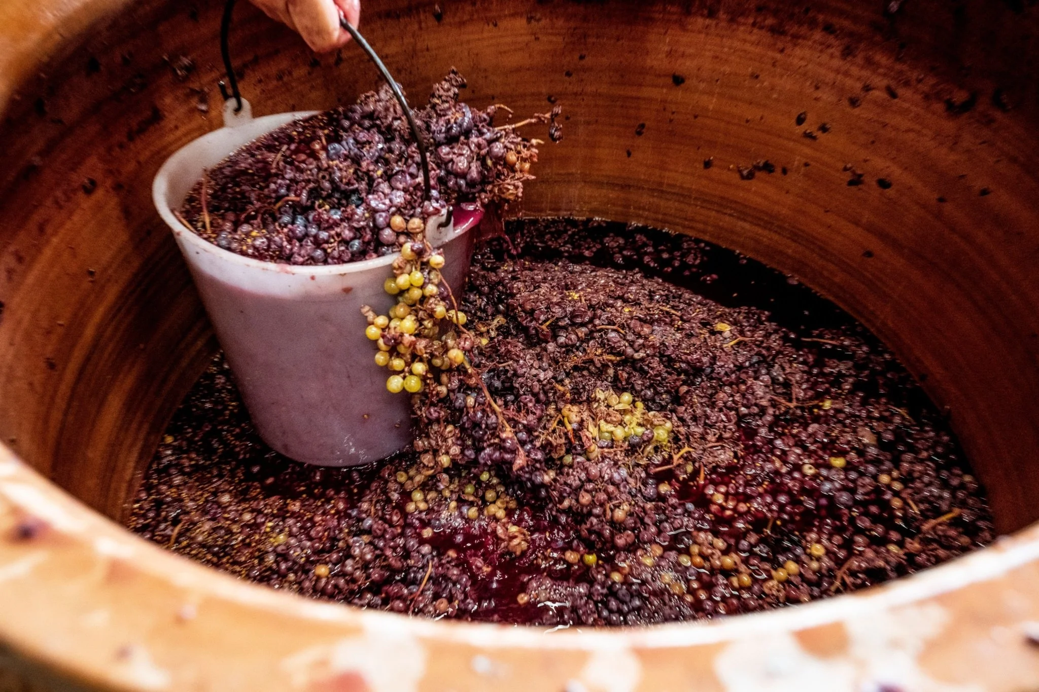 grape crushing at seller la salada
