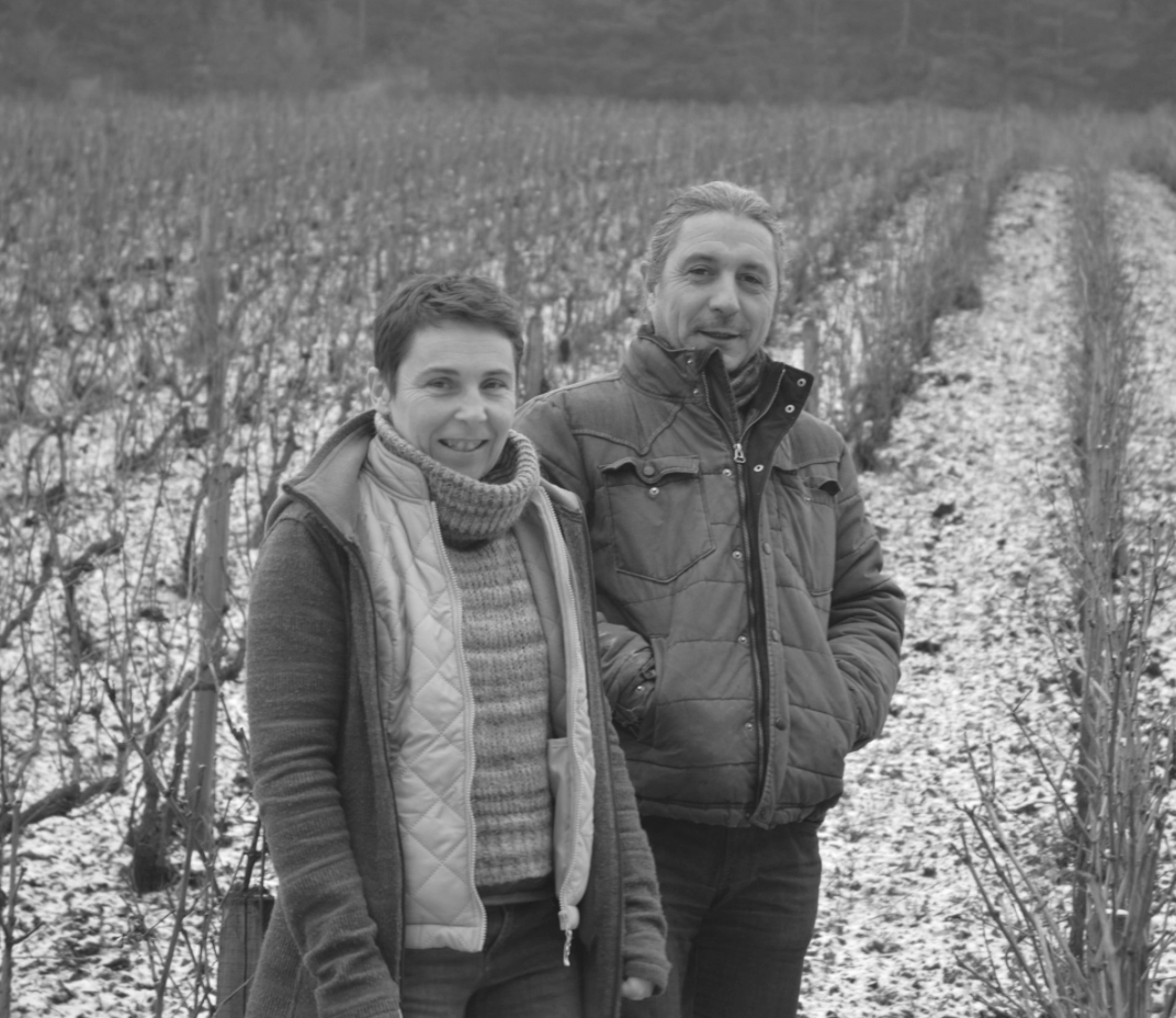 Two people standing in a snowy vineyard with rows of grapevines stretching out behind them.