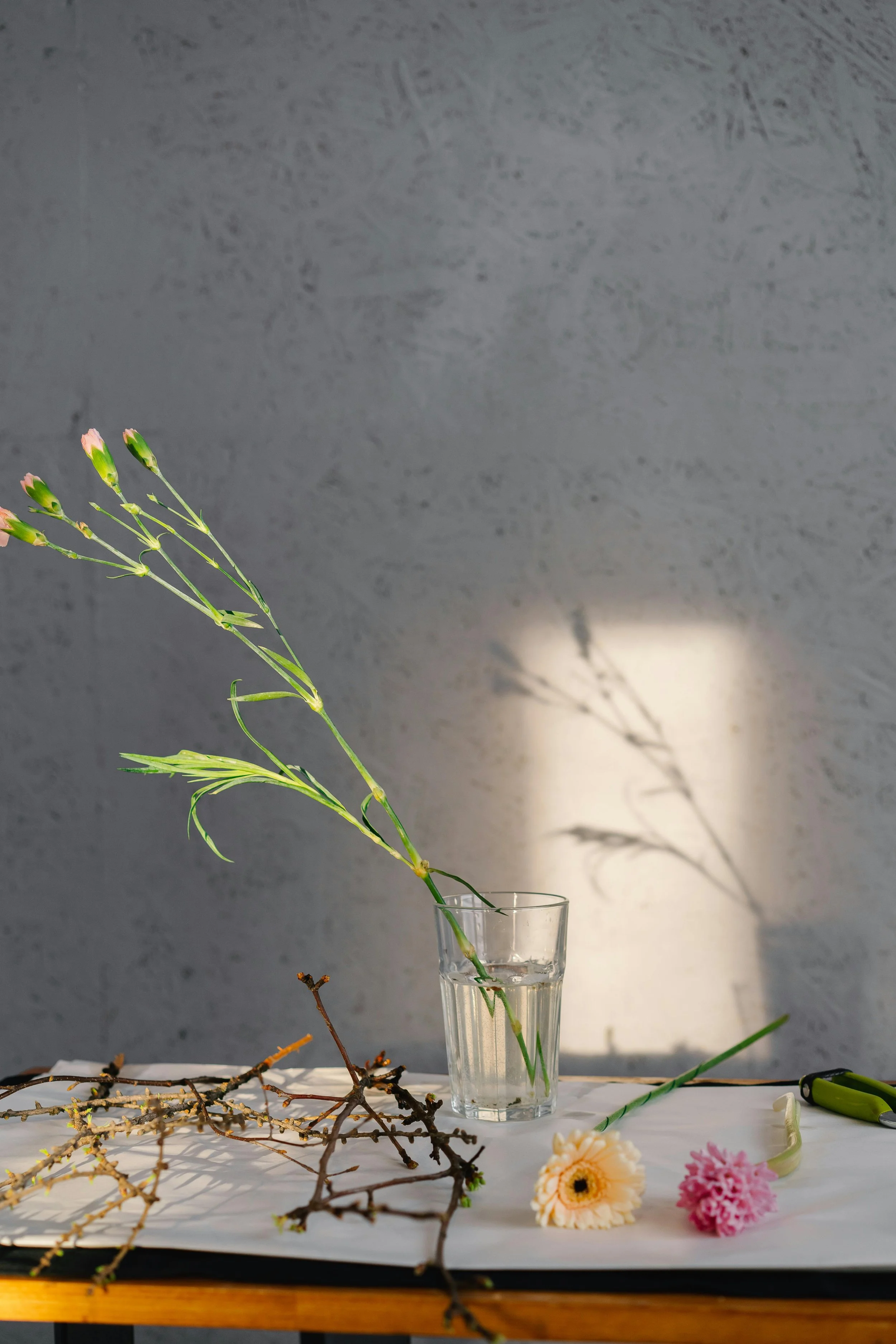 A table with a glass of water holding a stem with small buds, various branches, a peach gerbera daisy, and a pink flower on white paper. A pair of garden clippers is on the side, and sunlight casts shadows on a gray wall.