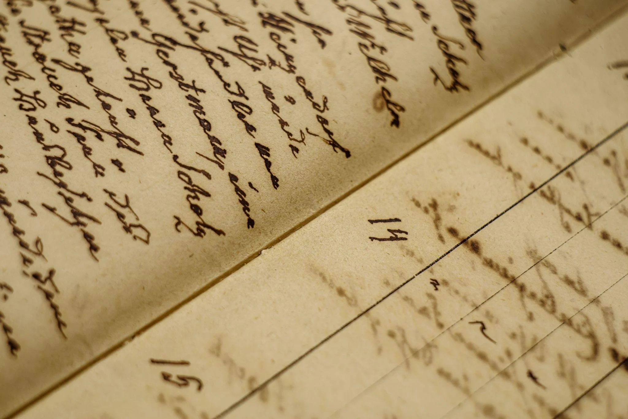 An Almost Lost Surname: Rebecca “Rae” Shecter