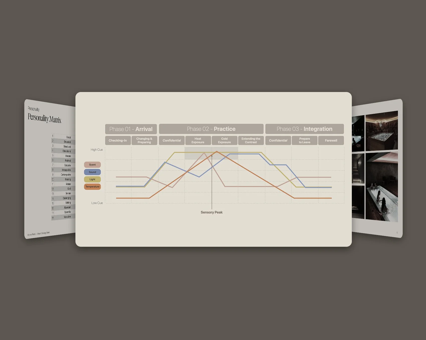 wellness brand and experience strategy