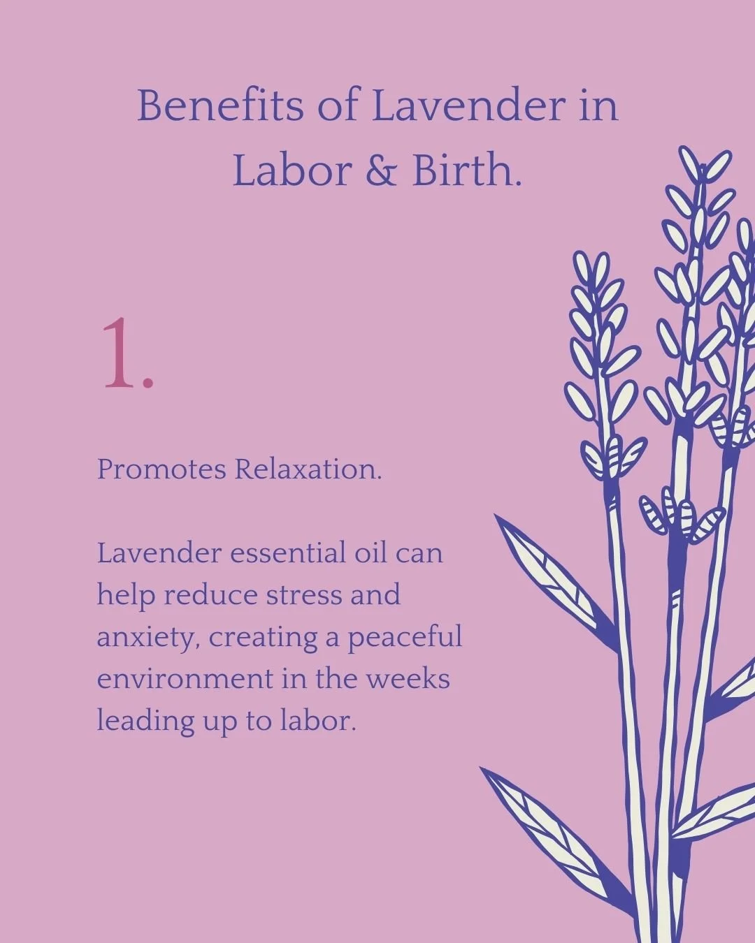 Infographic with lavender illustration and text about benefits of lavender in labor and birth, promoting relaxation and reducing stress with lavender essential oil.