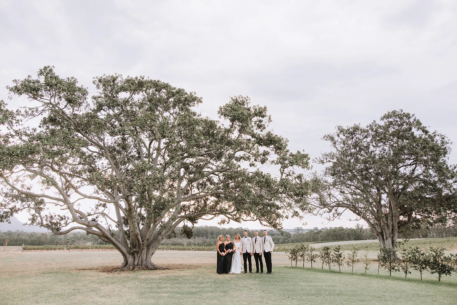 Groom walking the grounds of Hunter Valley wedding venue Hunter Valley Wedding Photographer NSW - Image 201
