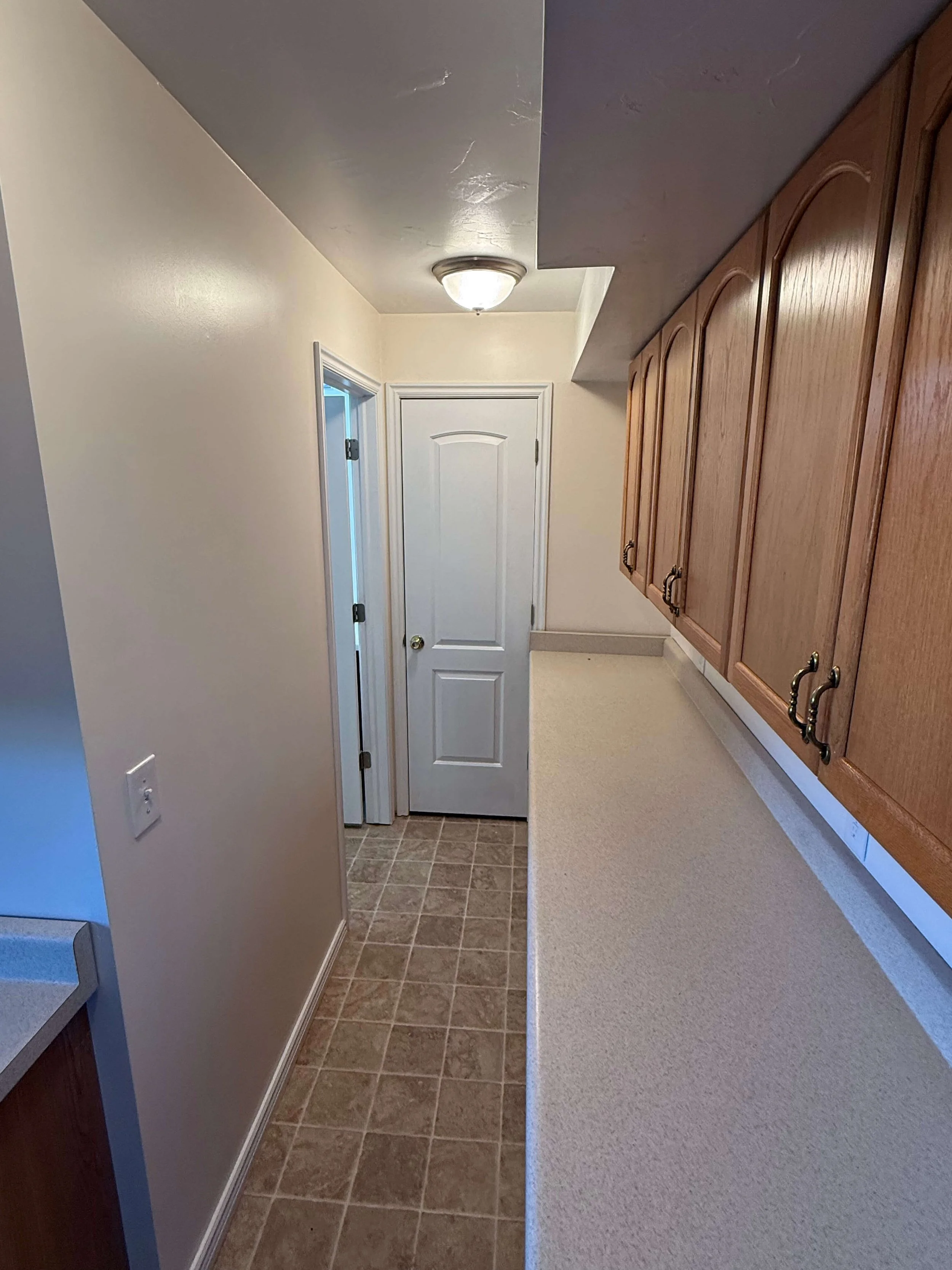 Interior view of a hallway with a white door at the end, wooden cabinets on the right, beige carpeting, and tiled flooring near the door, with a ceiling light fixture installed.