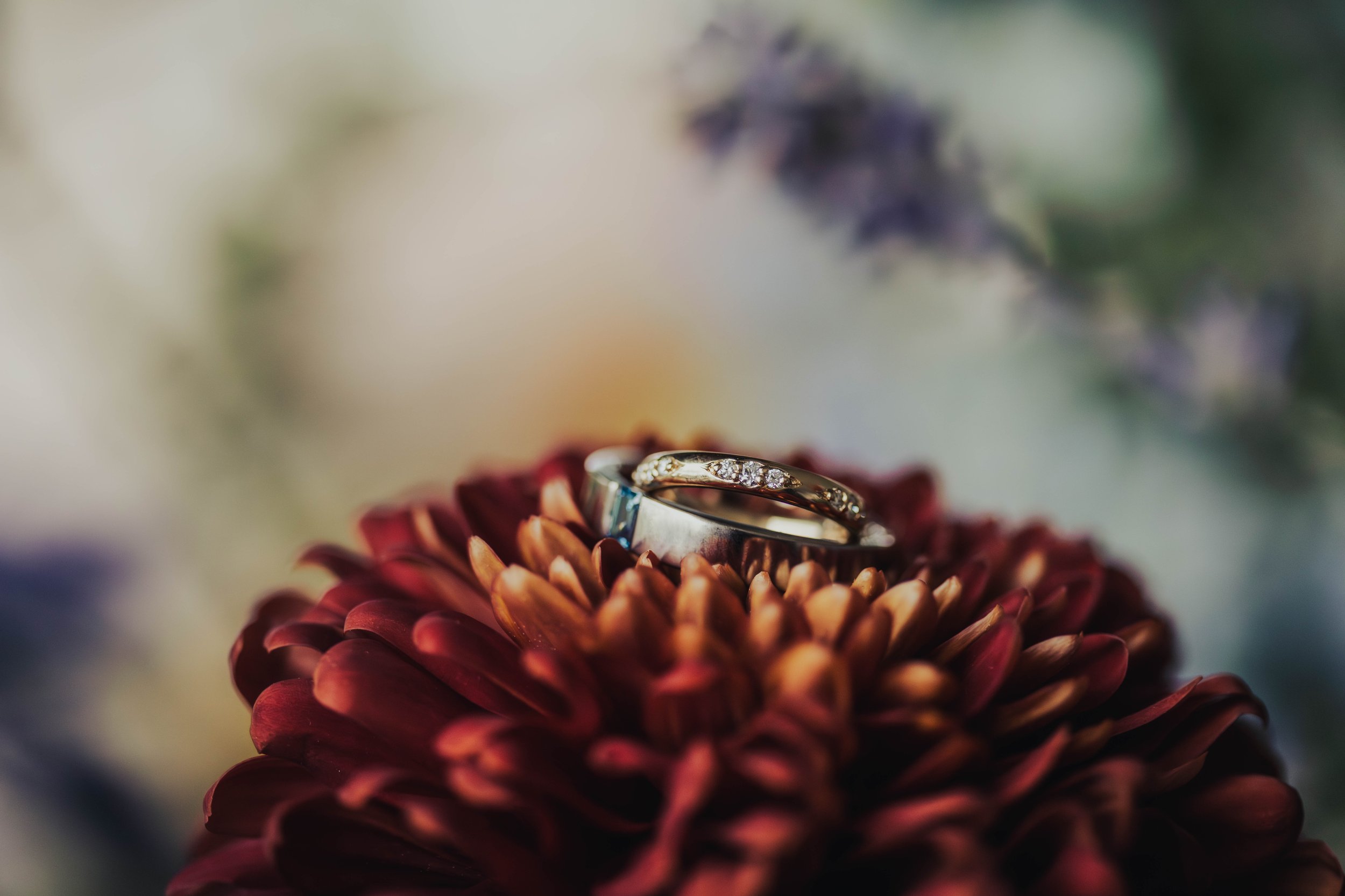 Close-up of wedding rings on a red flower with blurred floral background.
