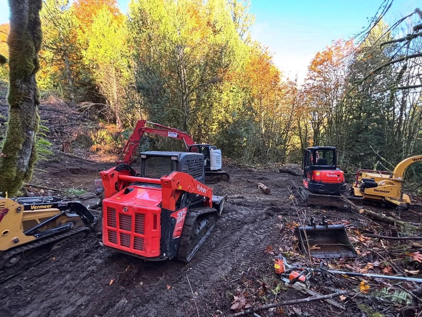 Got the whole gang out here !