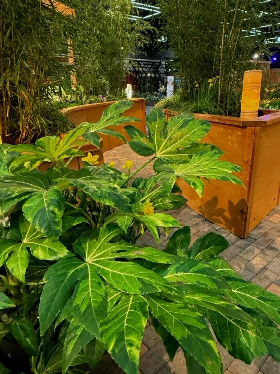 Bright green plants in planter boxes as part of award-winning landscaping desing.