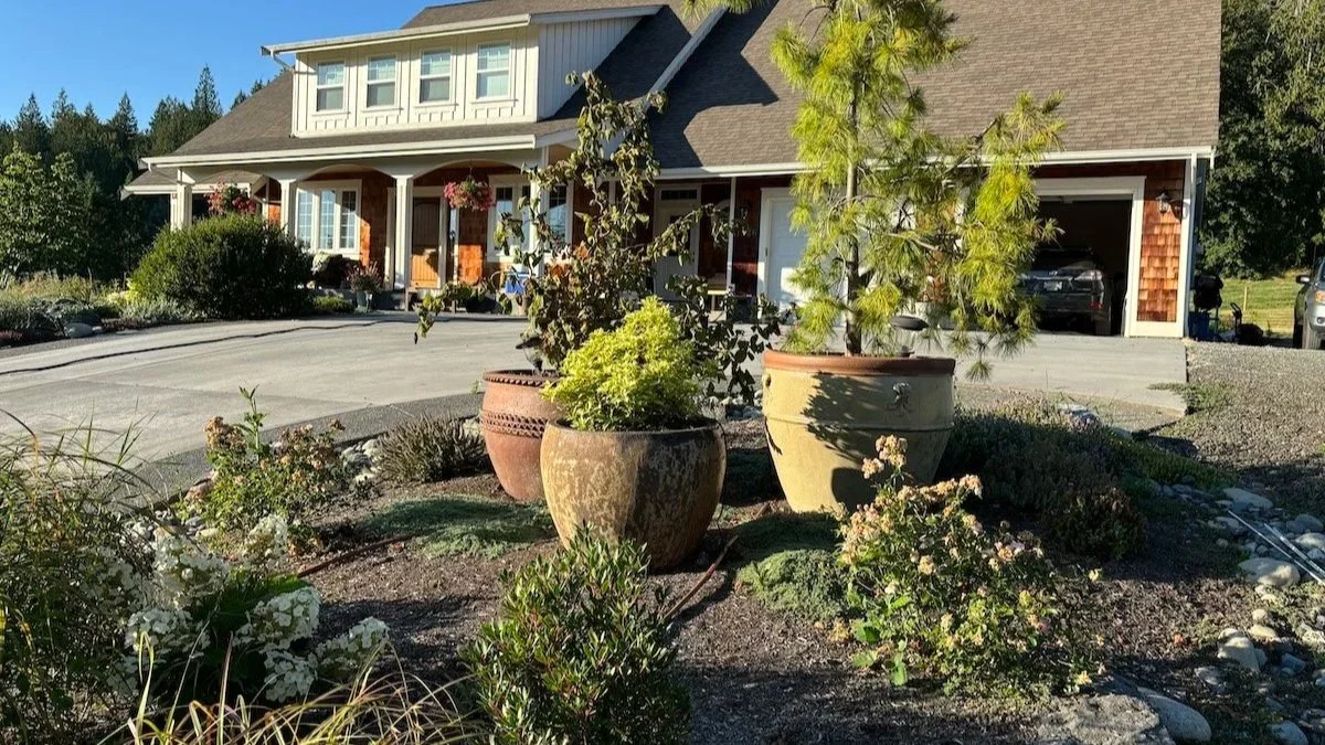 Front yard garden with large potted plants in front of a house with a garage, garage is open with a vehicle inside, and a driveway with parked cars.