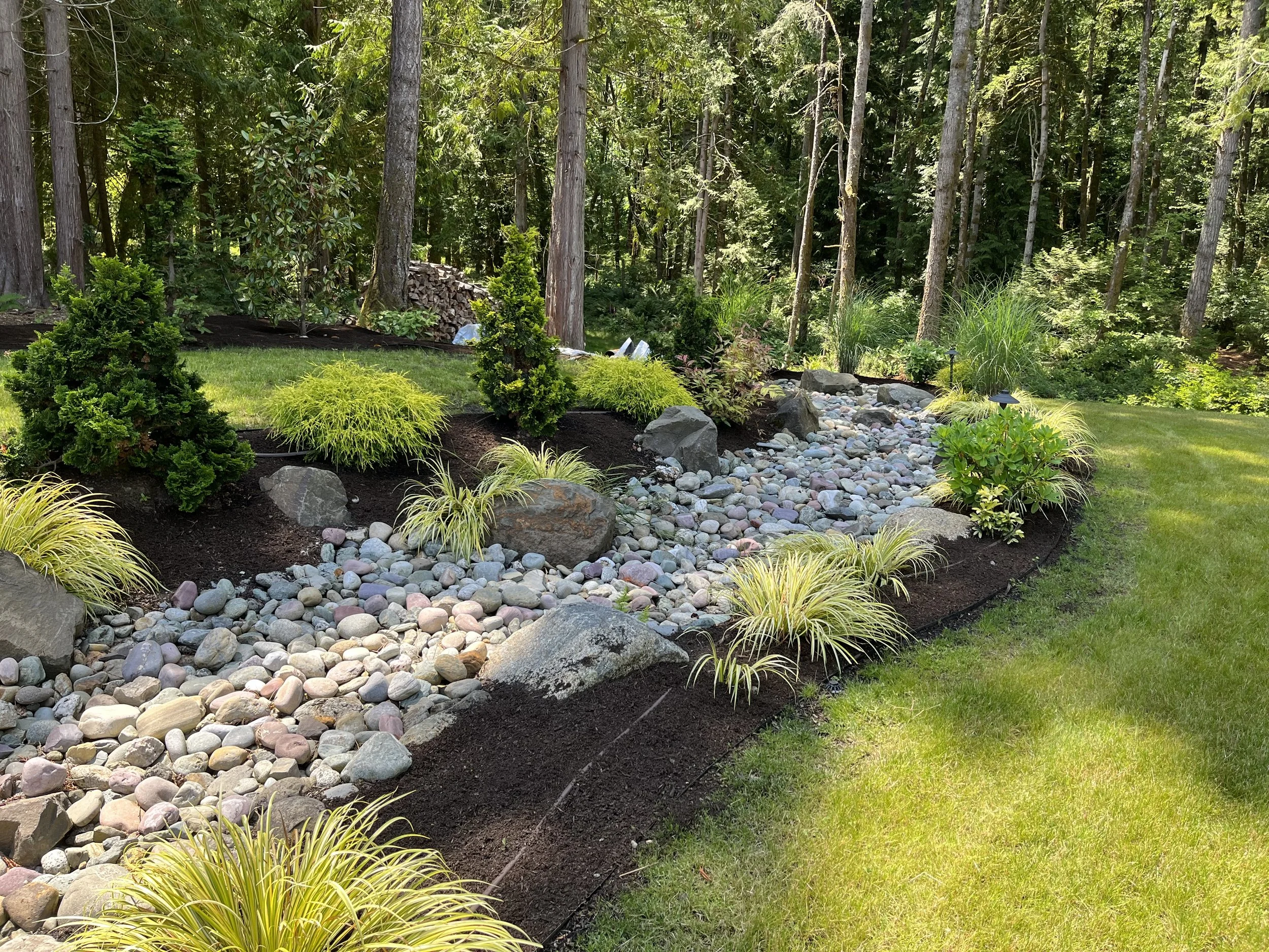 A landscaped backyard with small trees, large rocks, and a dry riverbed filled with smooth, multicolored stones, surrounded by lush greenery and mature trees.