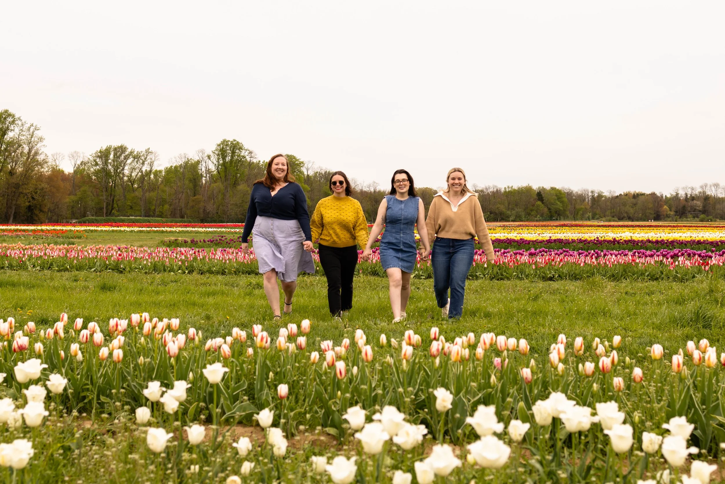 Four friends hold hands and walk through a tulip field in spring - best friends portrait taken by Jennifer Fulton Photography in Bucks County, PA