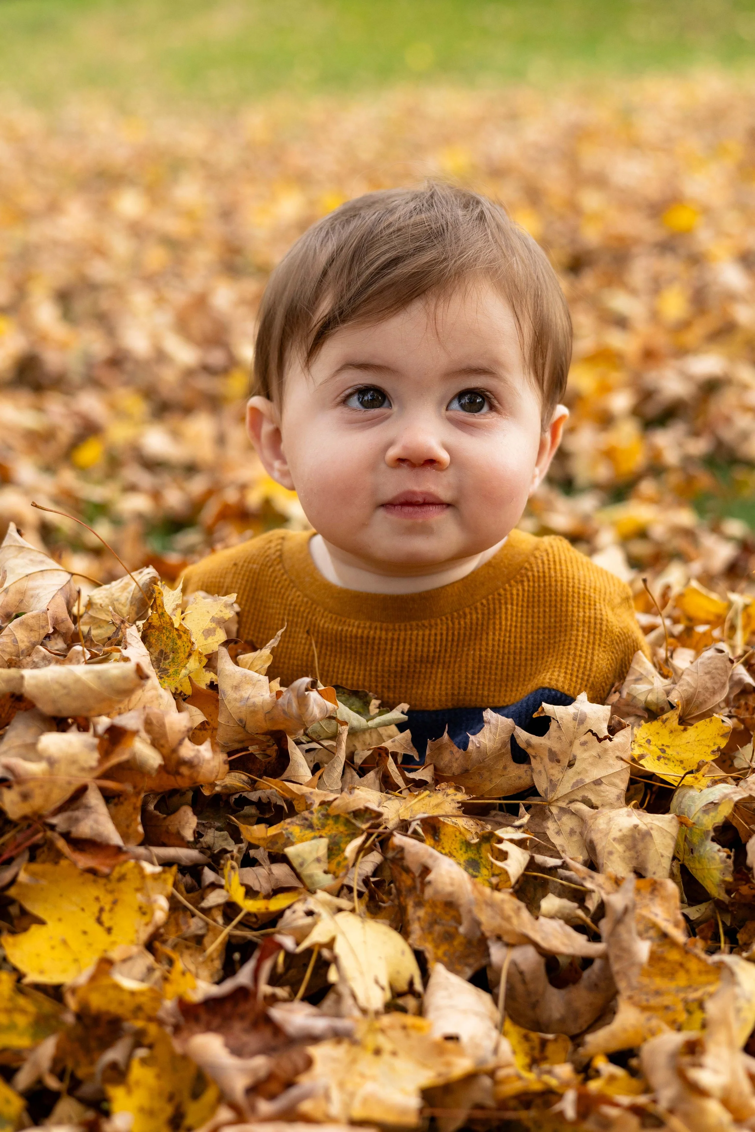 A young boy sits in a pile of leaves - taken in Hunterdon County, NJ by Jennifer Fulton Photography