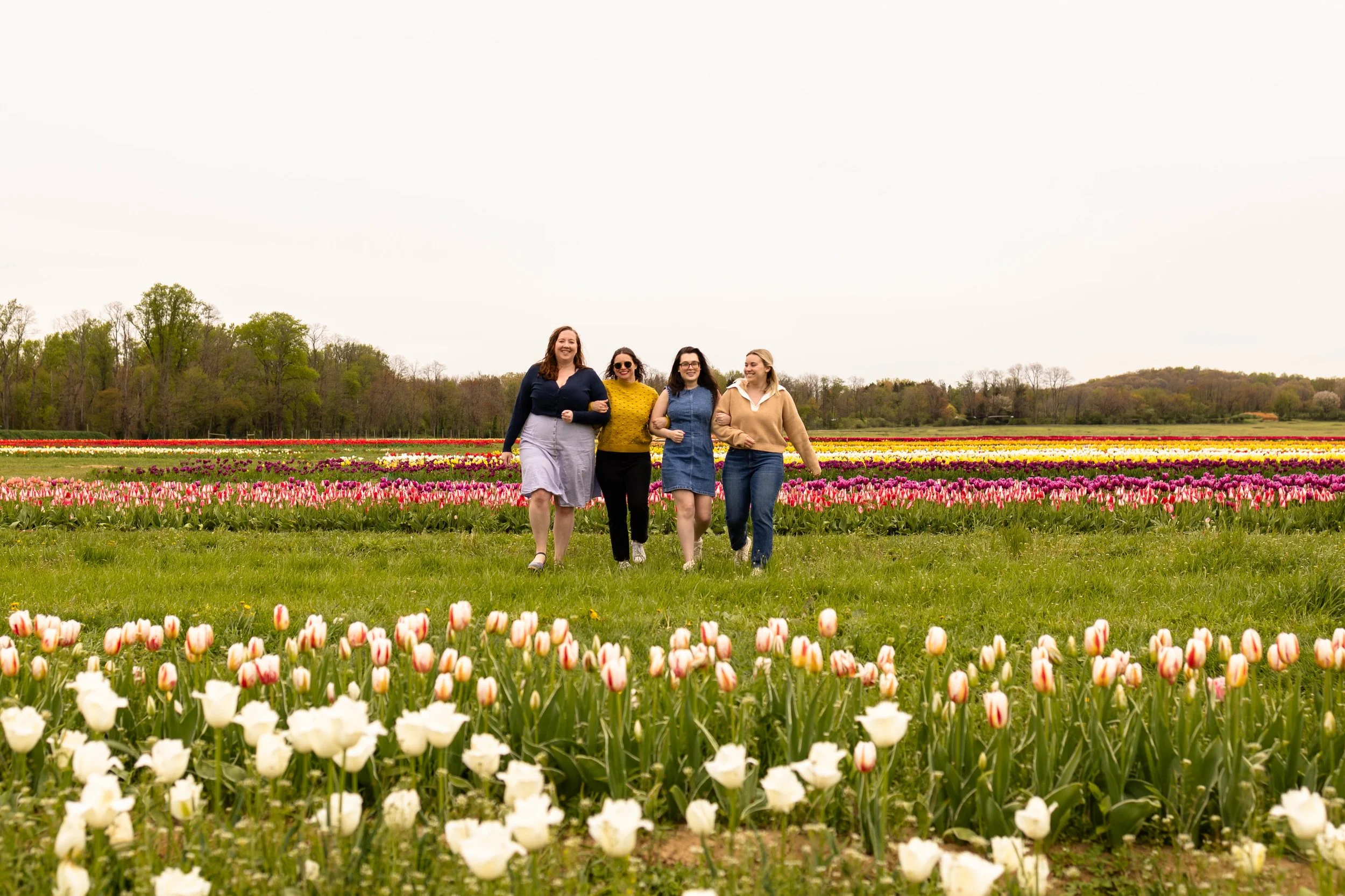Four friends link arms and walk in a tulip field in spring - best friends photo taken by Jennifer Fulton Photography in Central Jersey