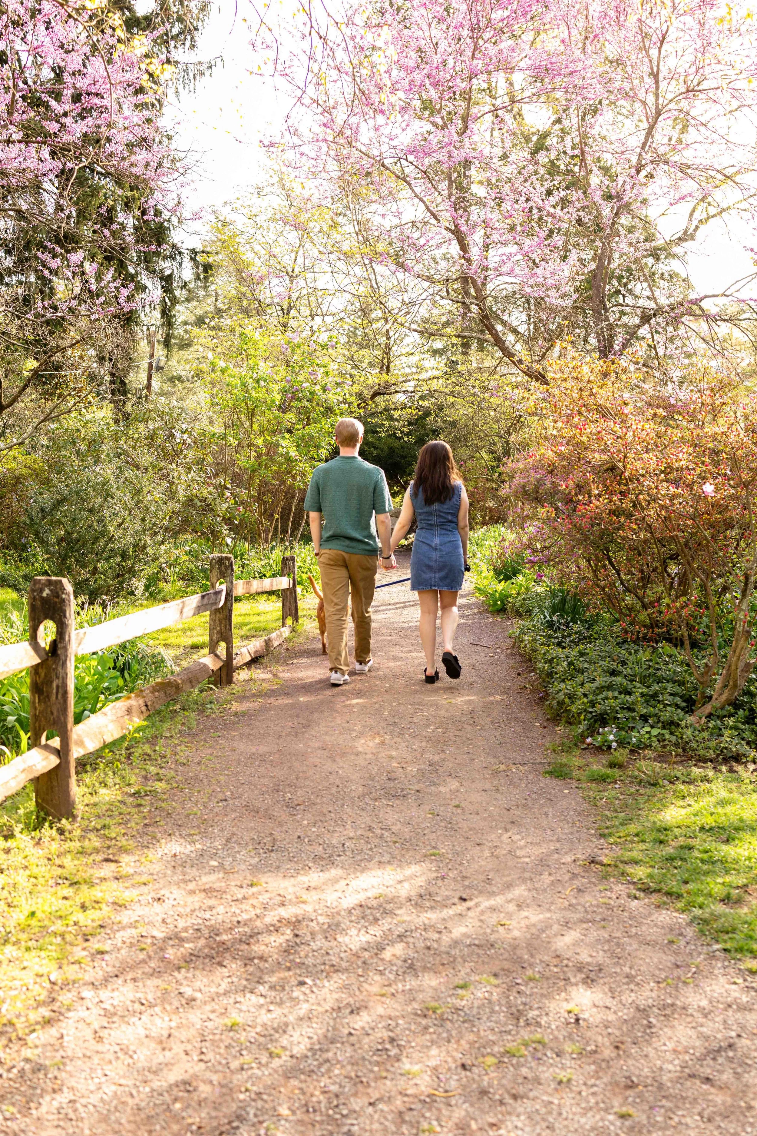 A couple holds hands and walks in a garden - couple's engagement photo taken by Jennifer Fulton Photography in Hamilton, NJ