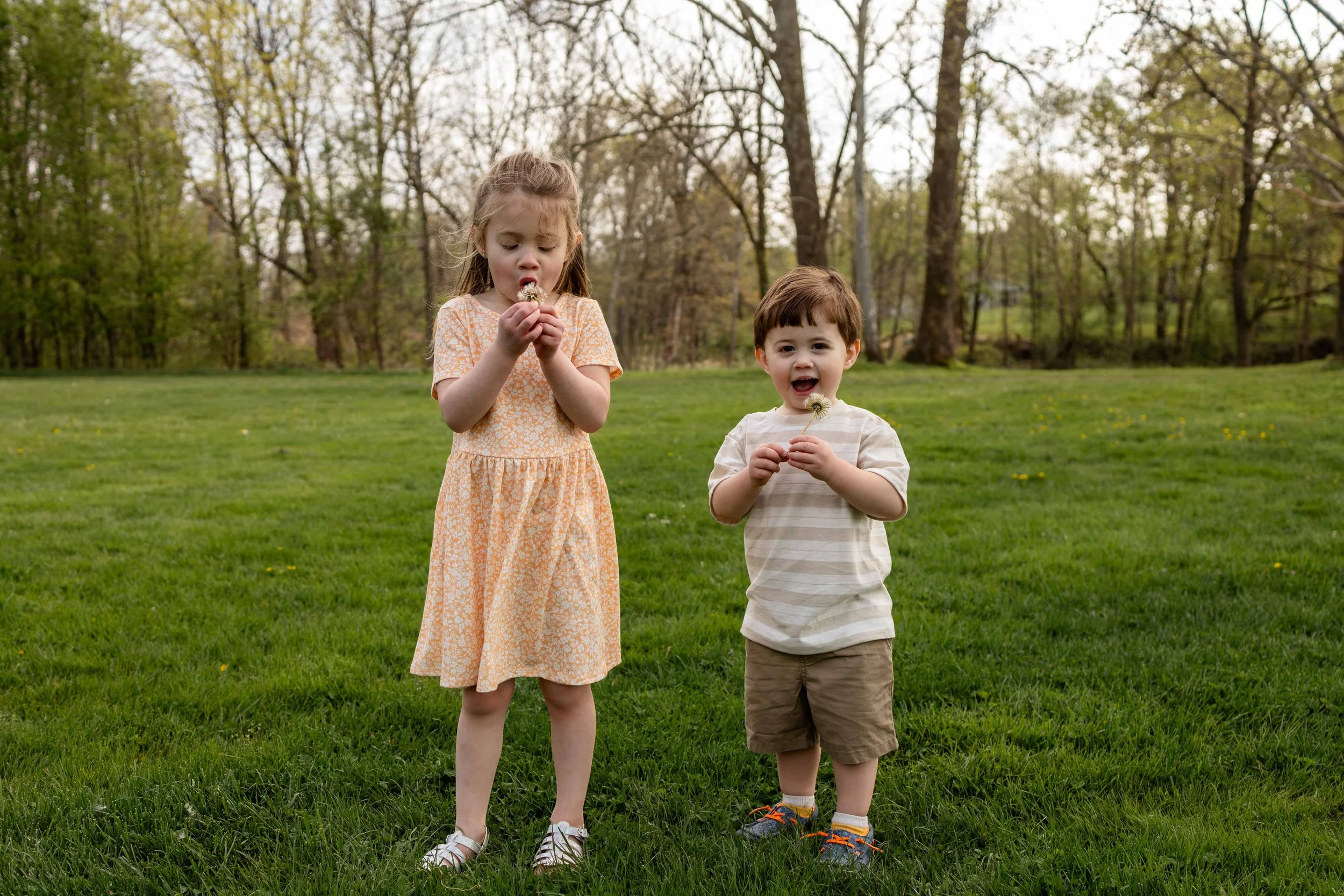 Two young children wearing peach, tan, and white hold dandelions - family photo taken by Jennifer Fulton Photography in Somerset County, New Jersey