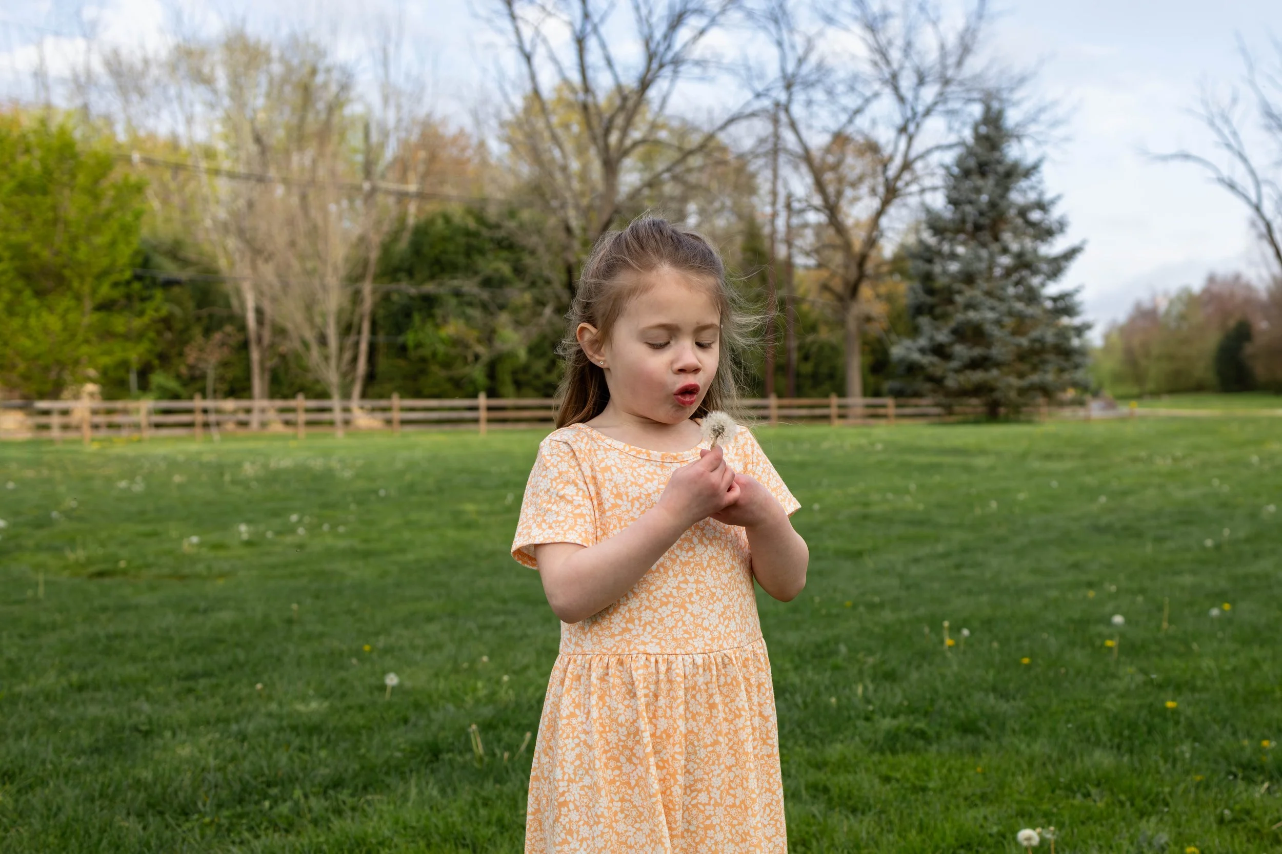 A young girl blows on a dandelion - maternity portrait taken by Jennifer Fulton Photography in Central Jersey