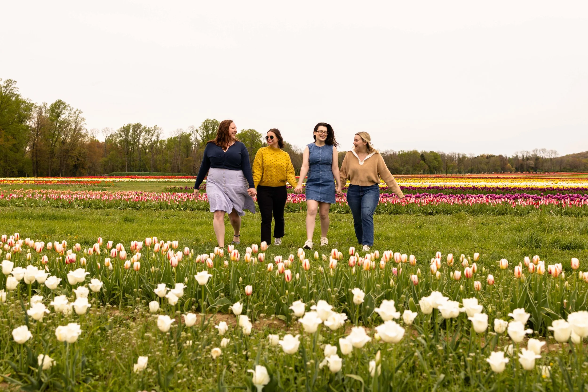 Four friends hold hands and walk in a tulip field - best friends photo taken by Jennifer Fulton Photography in Central Jersey