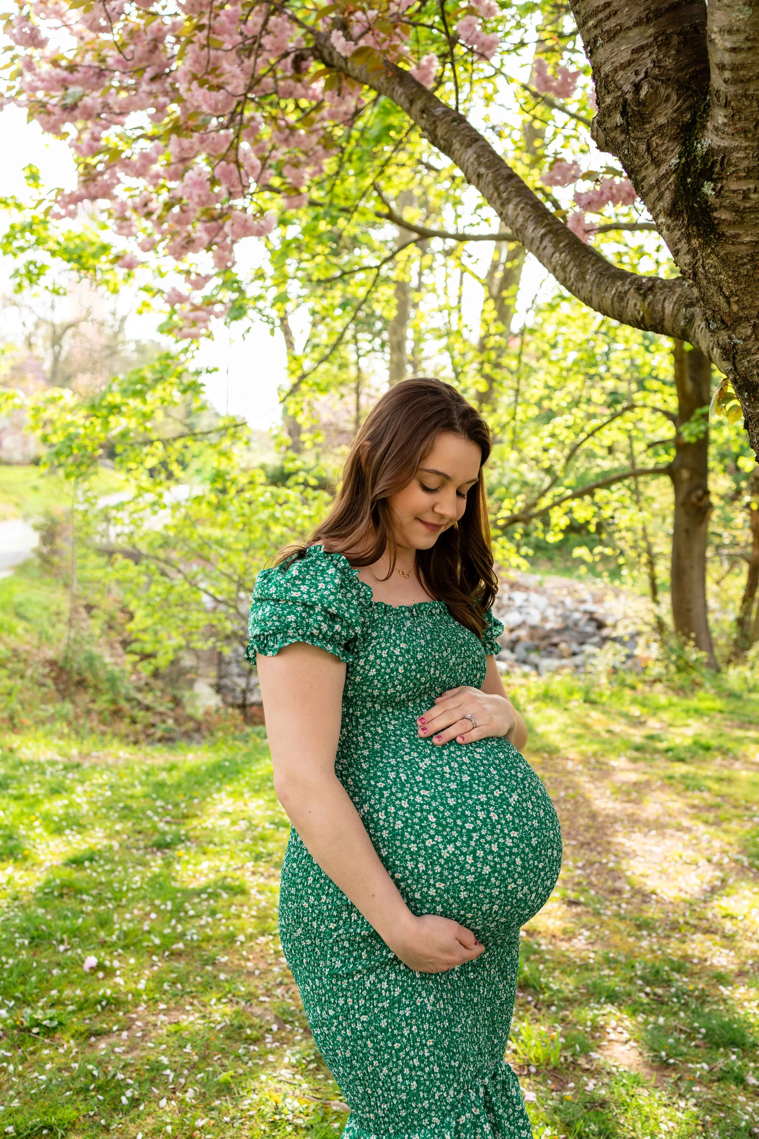 An expecting mom poses under a cherry tree in spring - maternity portrait taken by Jennifer Fulton Photography in Readington, NJ