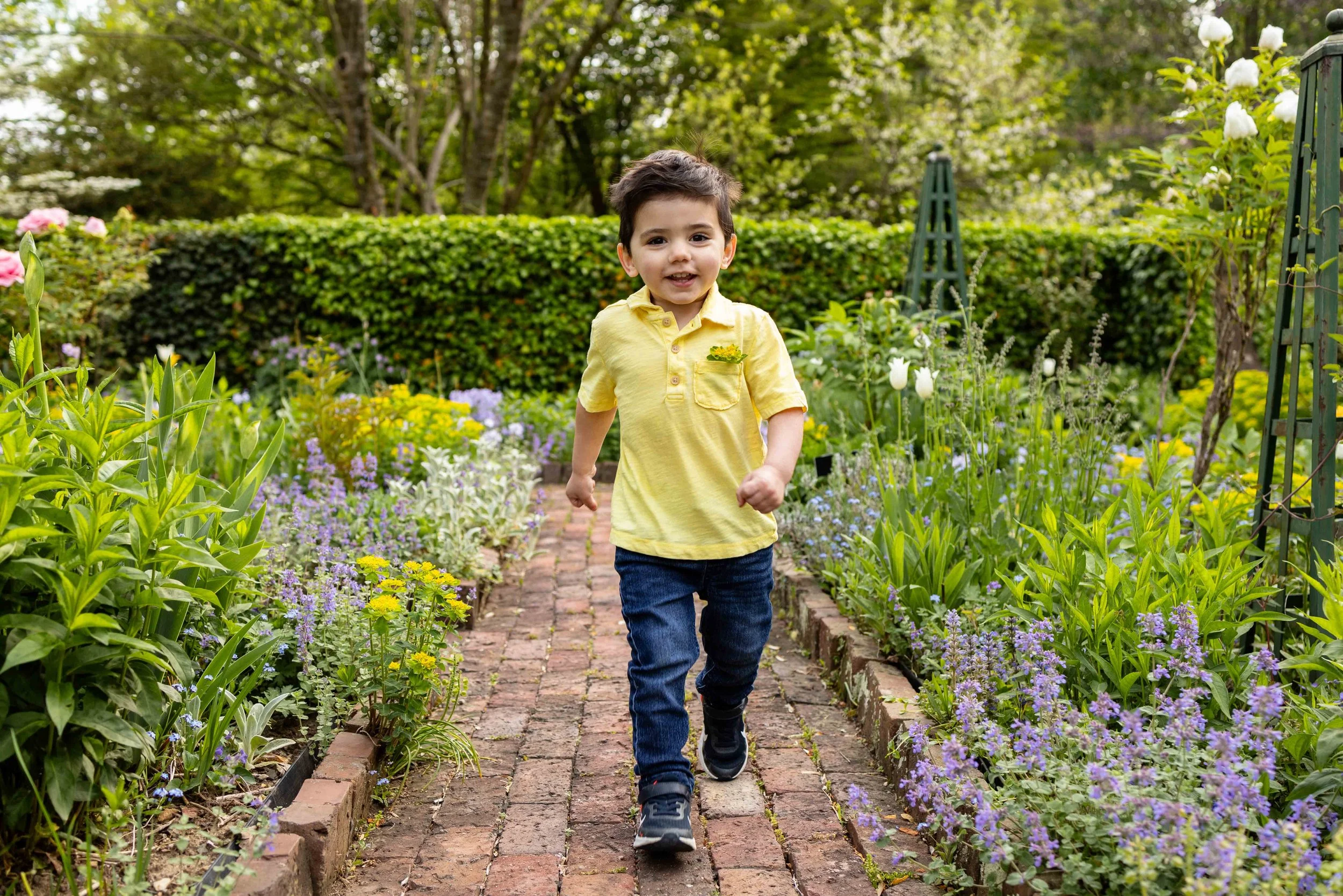 A young boy runs in a perennial garden in spring - family photo taken by Jennifer Fulton Photography in Central New Jersey