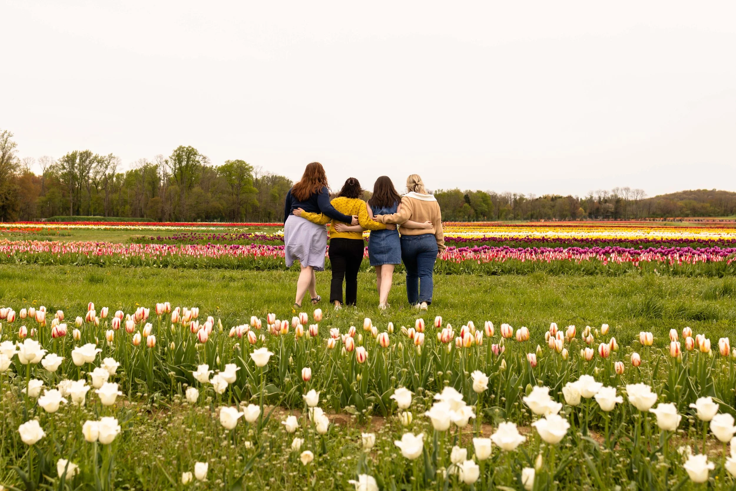 Four friends embrace and walk away into a tulip field - best friends portrait taken in Mercer County, NJ by Jennifer Fulton Photography