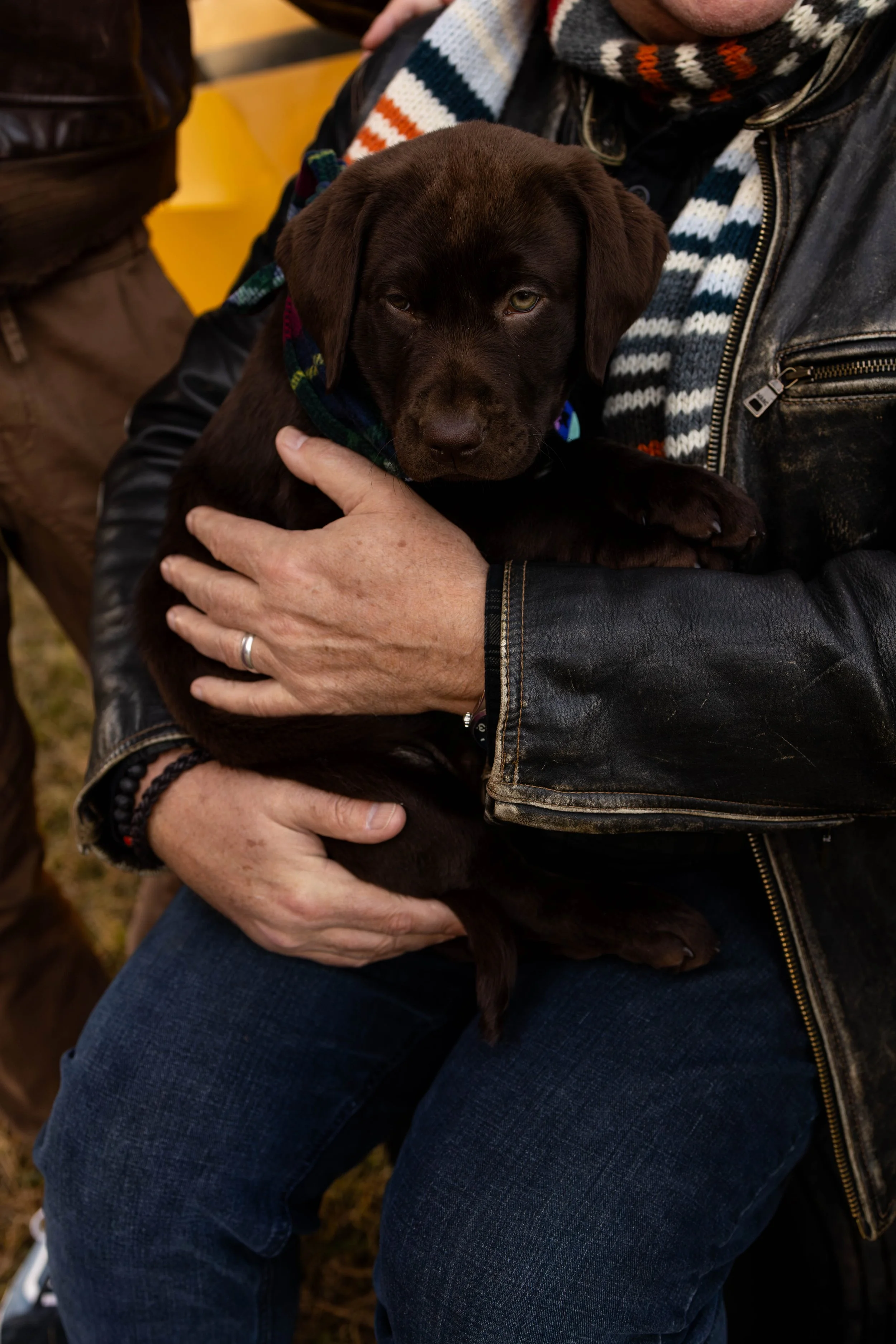 A dog sits in her owners arms - taken in Bucks County, PA by Jennifer Fulton Photography