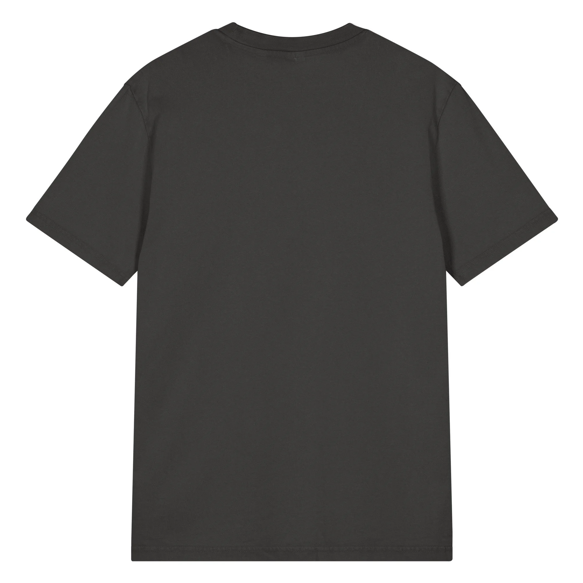 unisex-garment-dyed-creator-2.0-vintage-t-shirt-g.-dyed-black-rock-back-69f2b7668c370.jpg