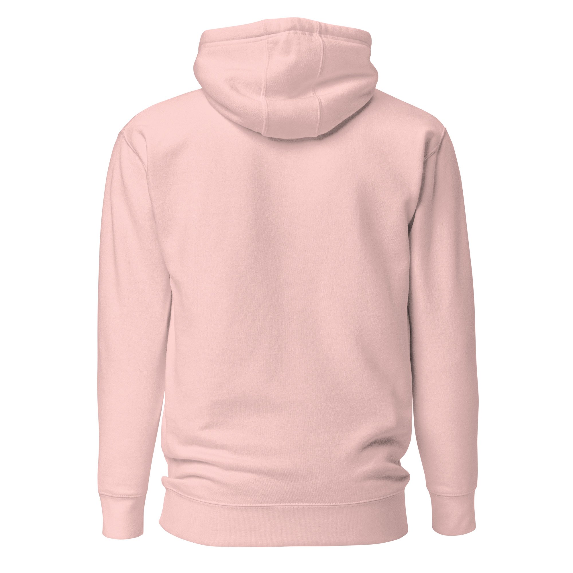 unisex-premium-pullover-hoodie-light-pink-back-69f2c6e71551d.jpg