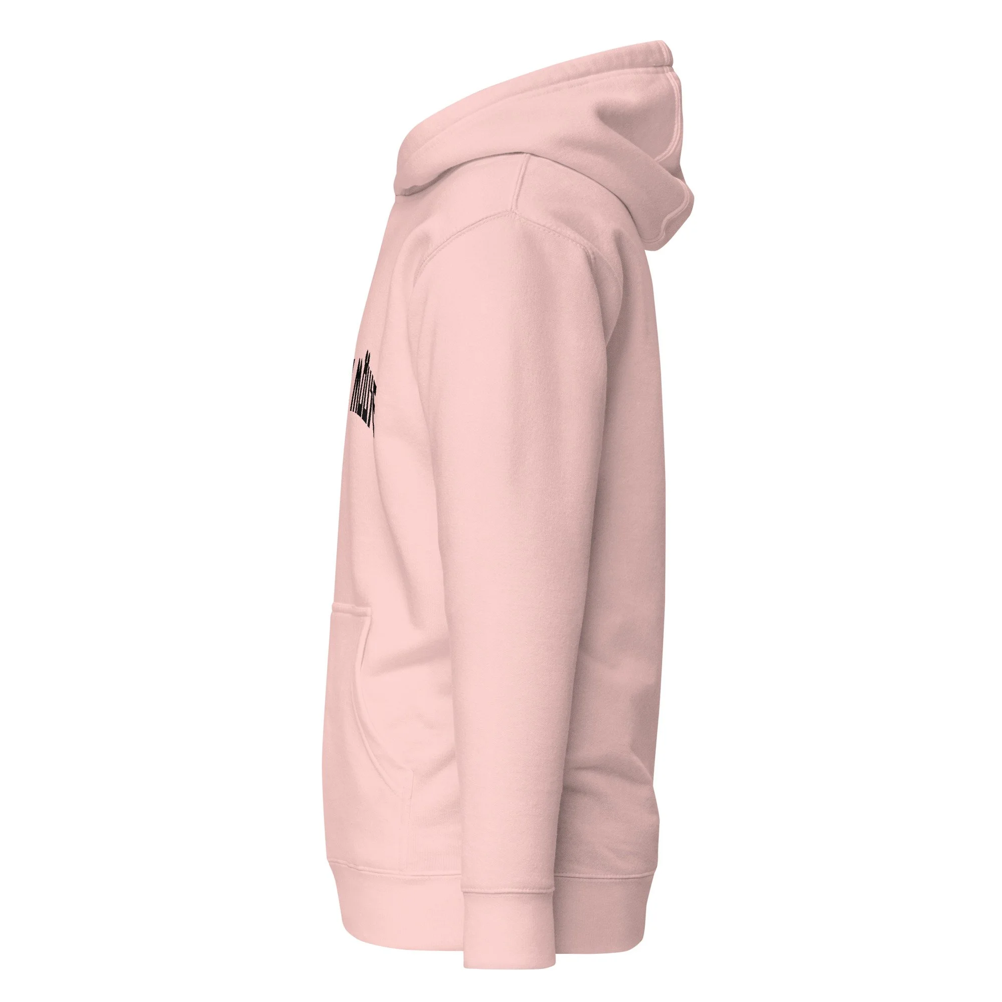 unisex-premium-pullover-hoodie-light-pink-left-69f2c6e716463.jpg