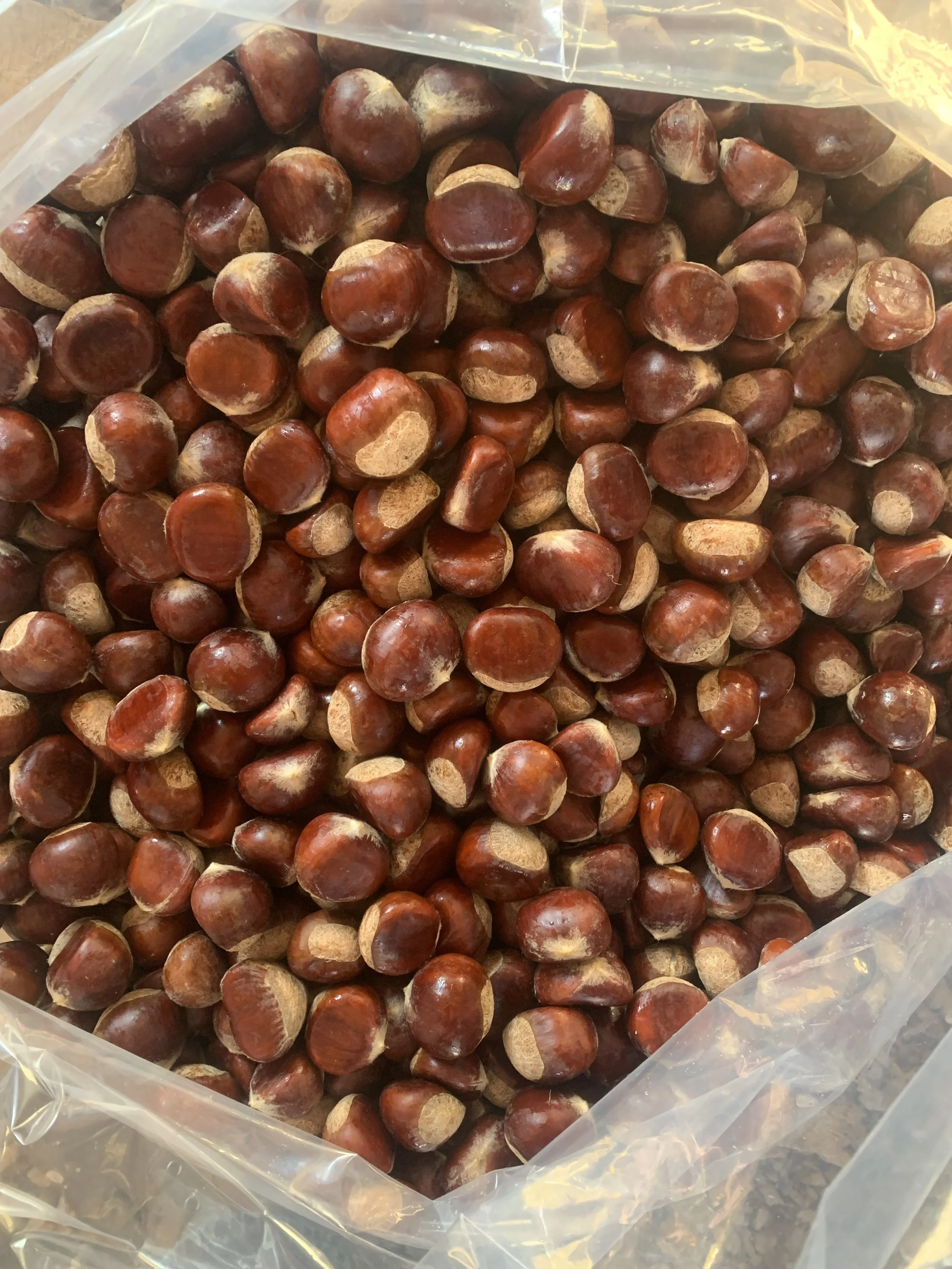 Organic Chestnuts, Wholesale (per lb)