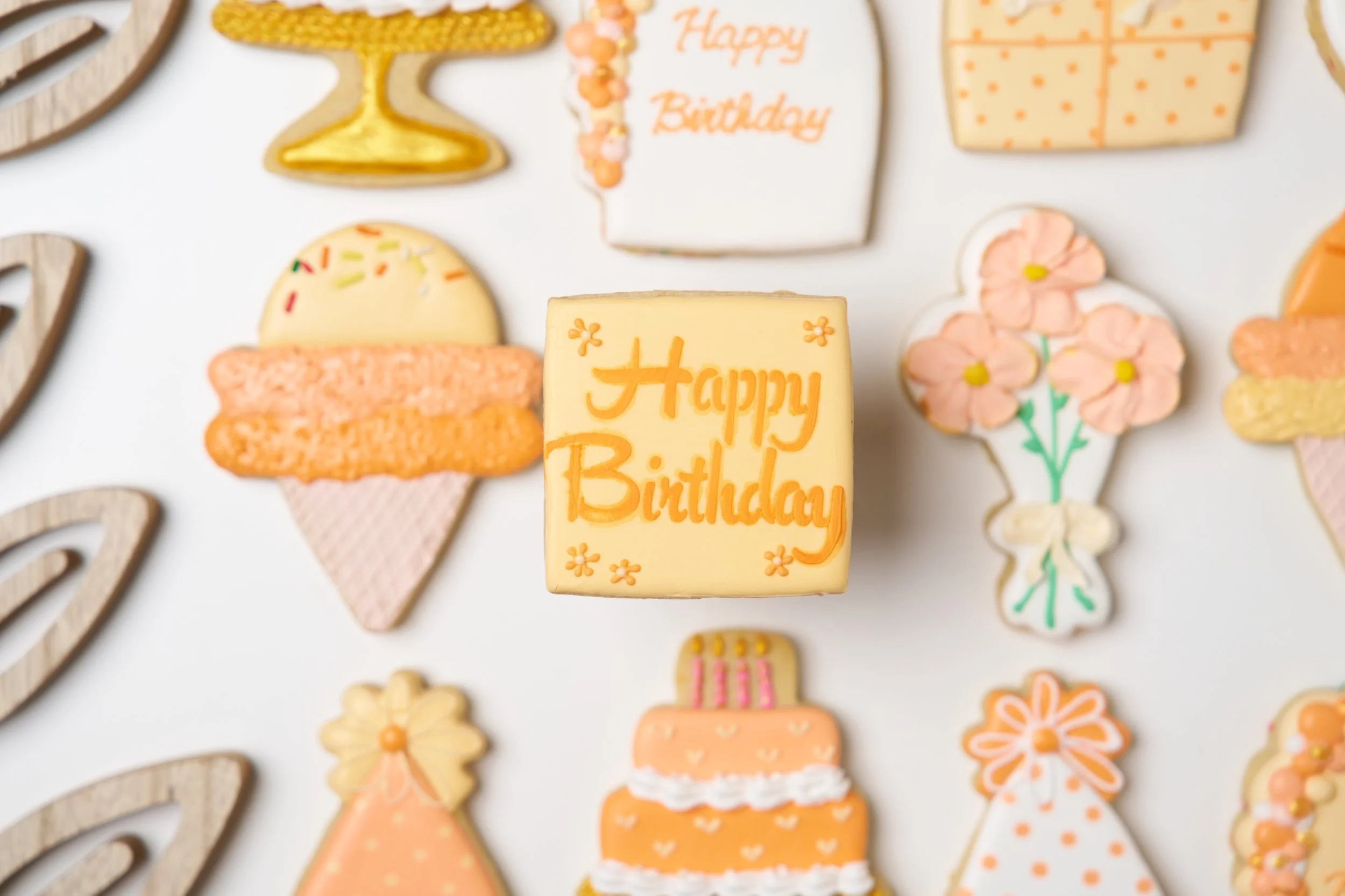 Pro-Capture One 0002 1.jpg