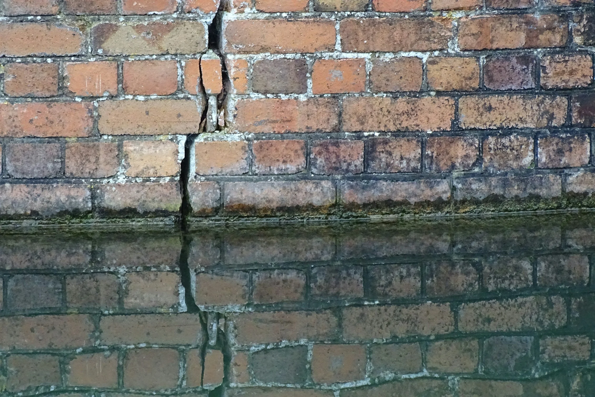 Close-up of a brick wall with a large vertical crack running through it, some mortar damage, and a reflection of the wall on a wet surface below.