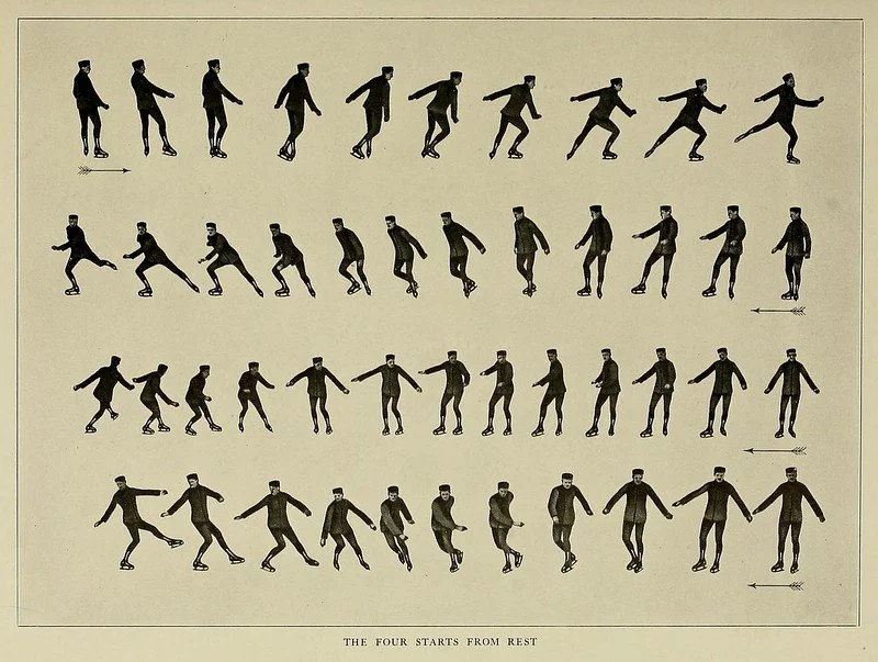 downloaded_image 6.jpeg