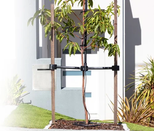 Tree Nurtrue TREE NURTURER