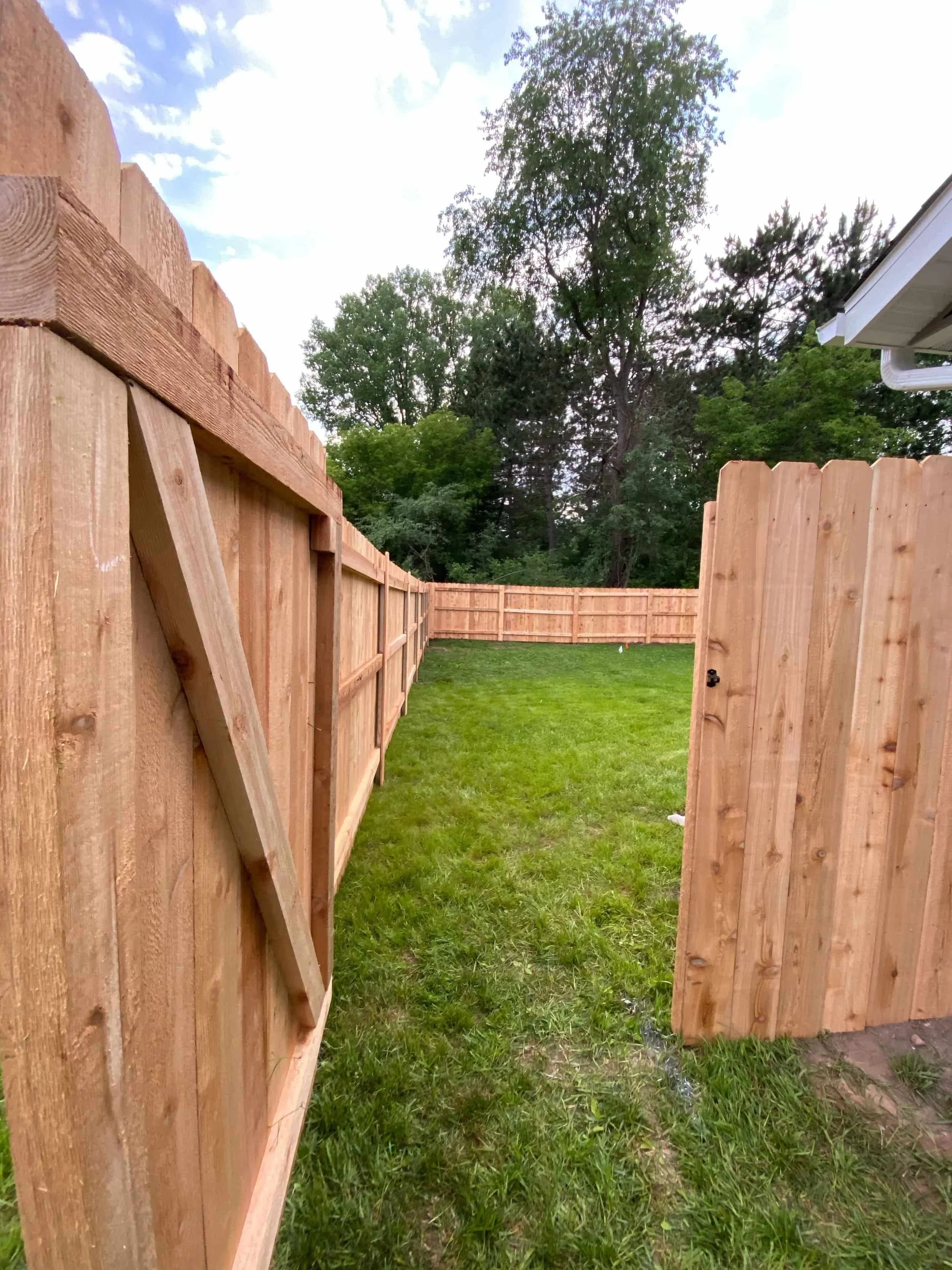 Wood-5WEB-_compressed.jpg