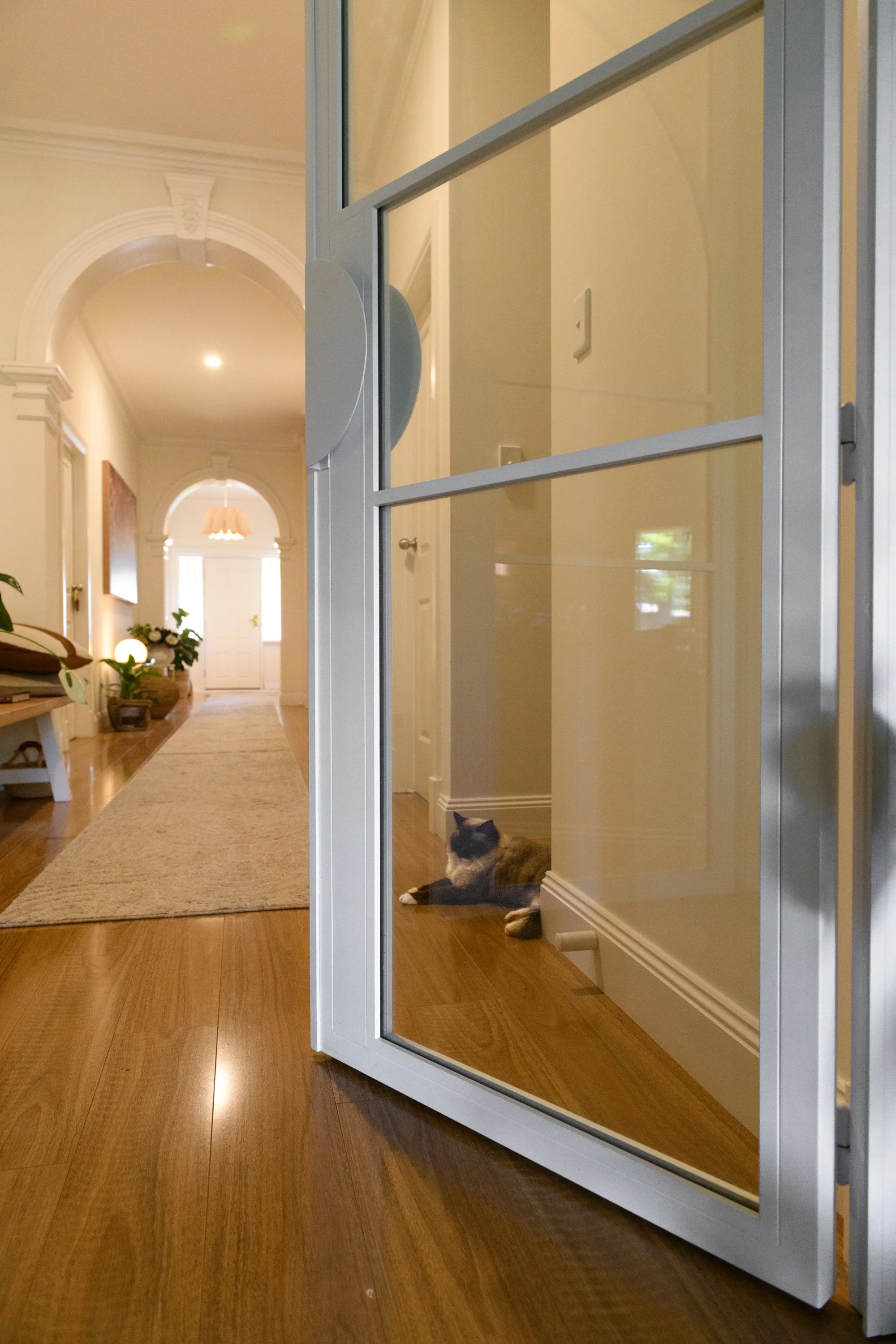 20260119-DSC_7176 (1).jpg