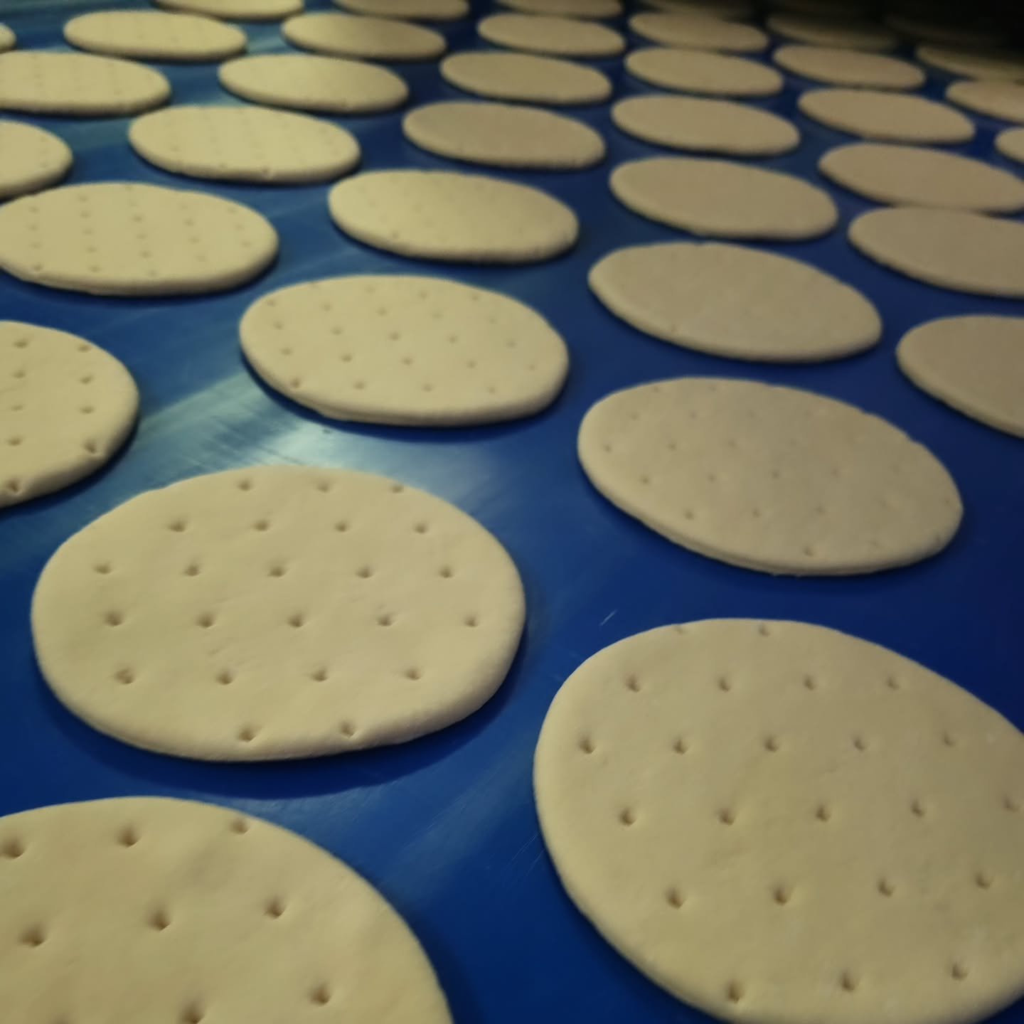 Our stonebaked mini pizza bases! Perfect for any occasion 🍕
.
.
.
.
.
.
.
#quattrosbakehouse 
#pizza
#stonebaked
#naturalingredients